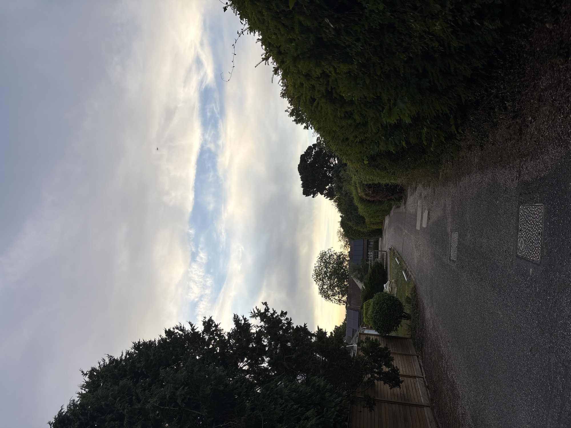The image depicts a narrow, asphalt road lined with tall, dense hedges on both sides. On the left, a wooden fence separates the road from a property with manicured bushes and some solar panels on a house roof. On the right, the hedges continue, forming a dark green wall. The road recedes into the distance, leading towards more houses and trees under a cloudy sky. A single, small dark object, possibly a bird, is visible in the upper portion of the sky. The overall scene suggests a suburban or residential area, likely during the late afternoon or early evening given the soft light. The presence of solar panels on the roofs indicates modern residential infrastructure. The street has two manhole covers visible on the asphalt. The image quality is clear, with a slightly low light, which is consistent with an outdoor evening shot. The location in Chelmsford, United Kingdom is not discernible from visual cues within the image itself.