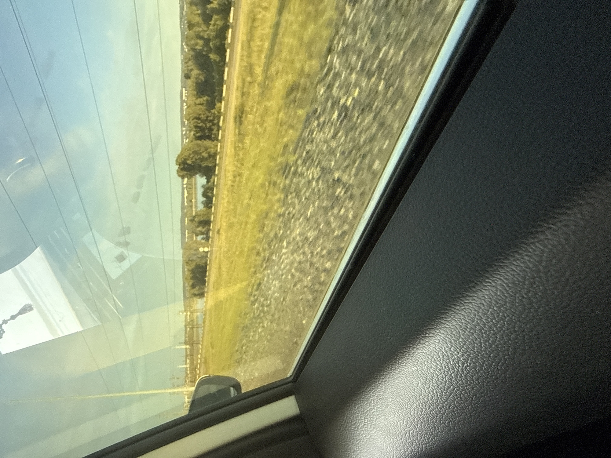 The image provides a tilted perspective of a landscape viewed from the interior of a vehicle, likely a car. The main scene, if oriented upright, would show a bright, clear daytime sky occupying the upper left. Multiple thin, dark lines, consistent with power lines or utility cables, stretch across the sky.
Below the sky, a wide expanse of green grass or vegetation extends horizontally across the middle ground. Parallel to this grassy area, a textured path, appearing to be gravel or dirt, or possibly railway tracks, runs across the mid-right portion of the frame. In the distance, a line of trees is visible, with what might be a body of water or reflective surface beyond them.
The immediate foreground on the right side of the image features the dark, textured interior panel of the vehicle, possibly a door panel or dashboard, with a visible window frame. A small, dark object, possibly part of a side mirror, is reflected or visible in the lower-left corner of the window's view.
The scene depicts a peaceful, rural or semi-rural environment, suggesting travel through the countryside. The bright lighting indicates clear weather during daylight hours. No people or visible text are present in the image. The location context for this scene is Chaikovsky, Russia.