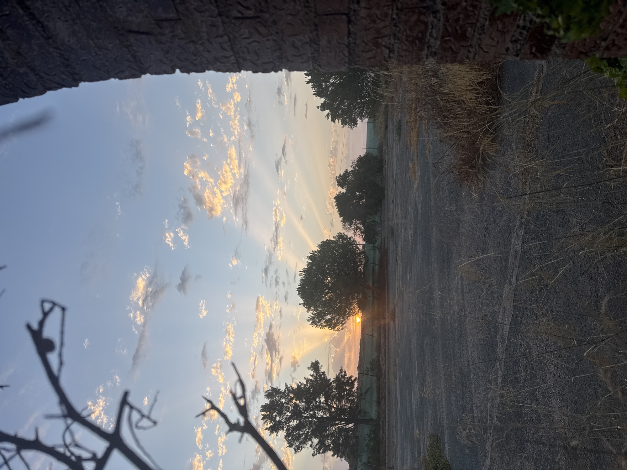 A serene sunrise over Corvera, Spain, illuminates a landscape featuring an empty asphalt lot. Silhouetted trees stand against a sky painted with soft blues and scattered clouds tinged with golden hues, the sun's rays emanating outwards. A portion of a brick structure frames the right side of the image, adding a touch of rustic texture to the scene. The foreground is dominated by dry grass, hinting at the natural surroundings. There are no people or animals present.