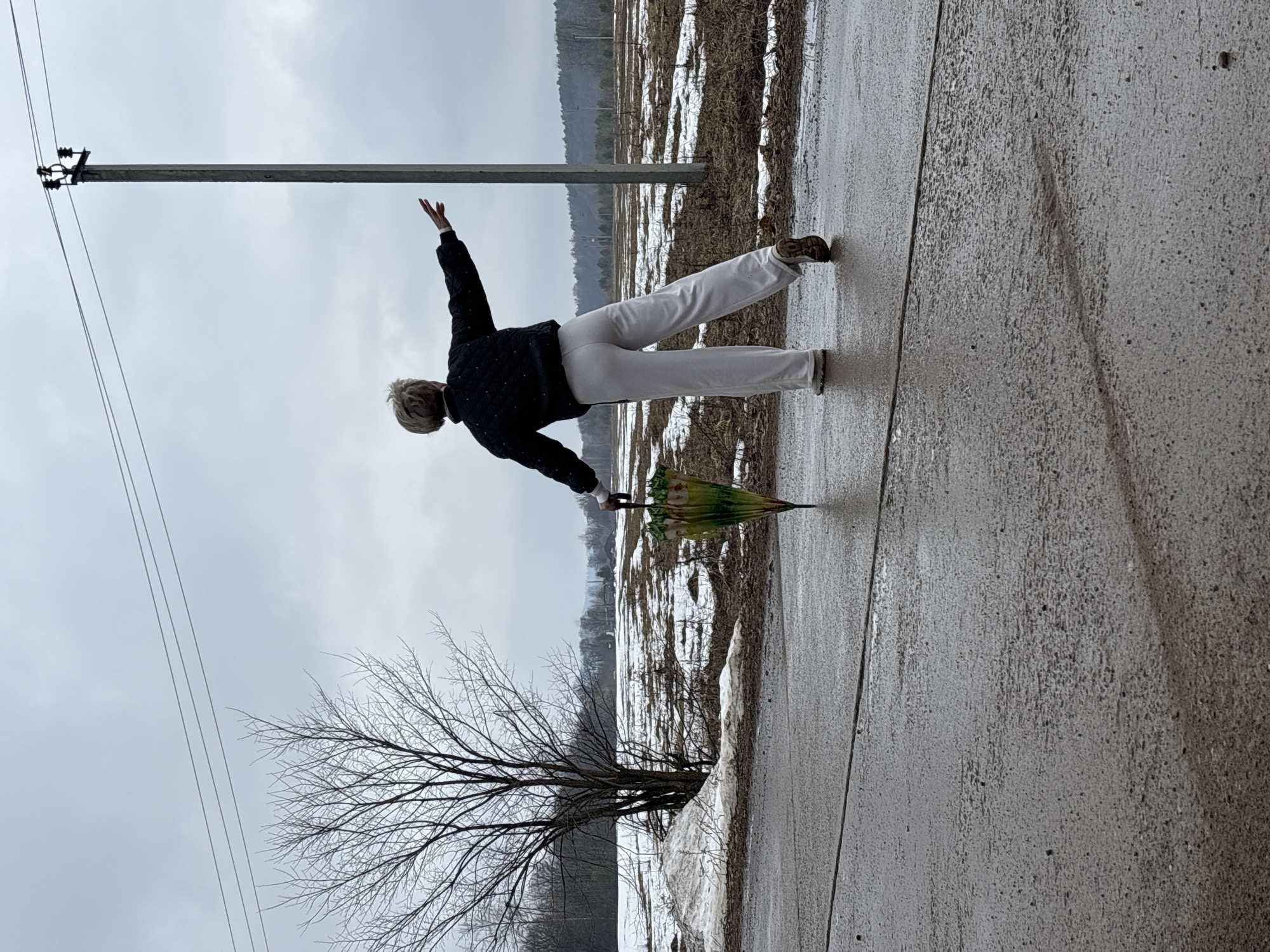 A woman is standing in a yoga pose on a gray asphalt surface, possibly a road or sidewalk. She is wearing white pants, a dark jacket with light-colored polka dots, and brown shoes. Her left arm is raised towards a tall wooden utility pole with visible electrical wires running along the top. She is holding a closed umbrella with a green and patterned canopy in her right hand, which is extended downward.
The background consists of a rural winter landscape with patches of snow on fields and a line of trees in the distance. A leafless tree is in the foreground on the left side of the image. The sky is overcast and gray.
Based on the information provided in the prompt, the location is potentially the city of Noviy, Russia.
