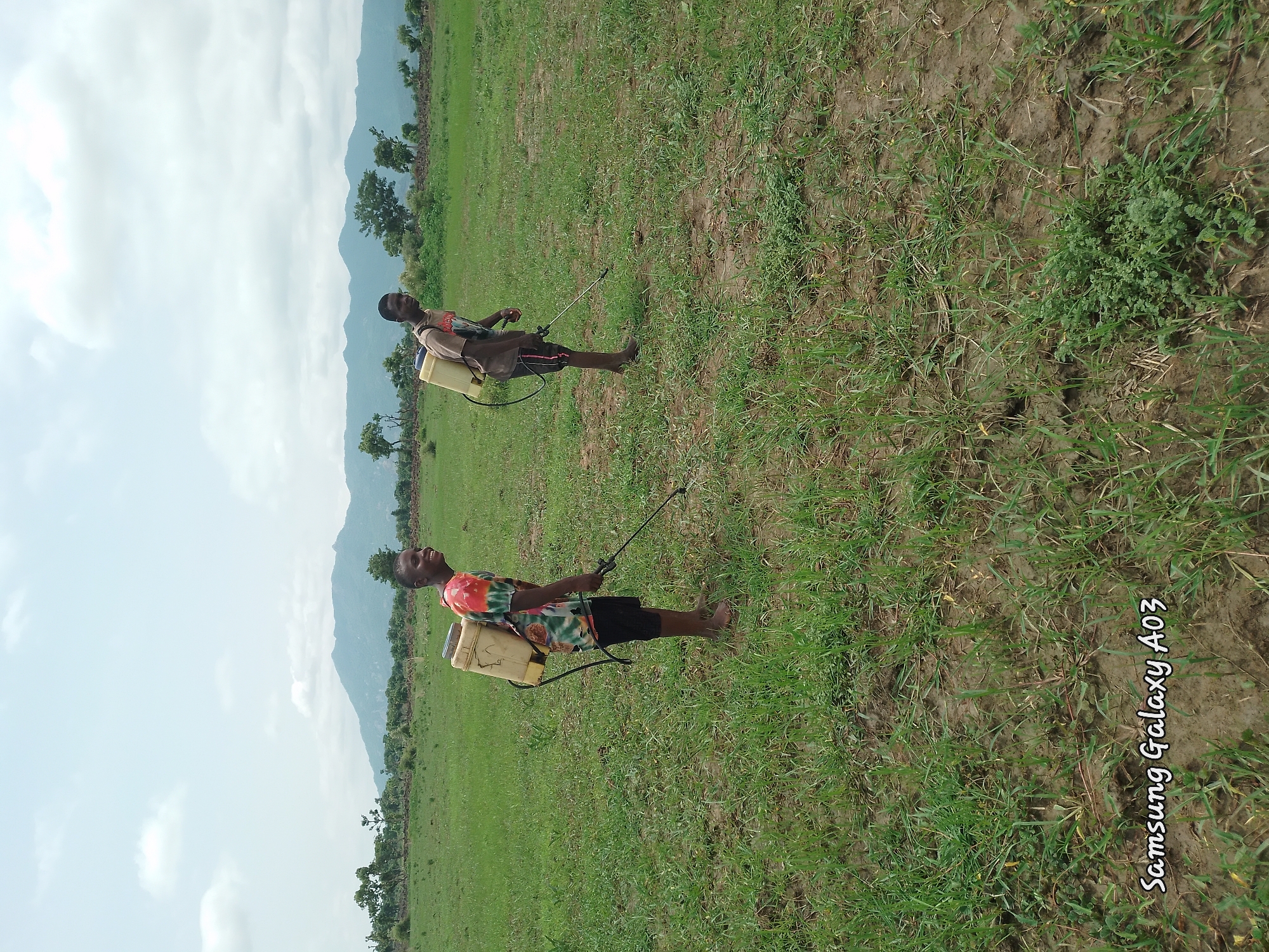 In a rural, open field, two young men are engaged in pesticide application. Both are wearing backpacks with sprayers attached and are holding spray wands, aiming them towards the ground. The field is covered in green grass and patches of dry earth. In the background, a line of trees and rolling hills under a cloudy sky suggest a remote, undeveloped area. The lower-left corner of the image displays the watermark "Samsung Galaxy A03," indicating the device used for capture. The scene appears to be in Angwan Hausawa, Nigeria, a location known for its agricultural activities.