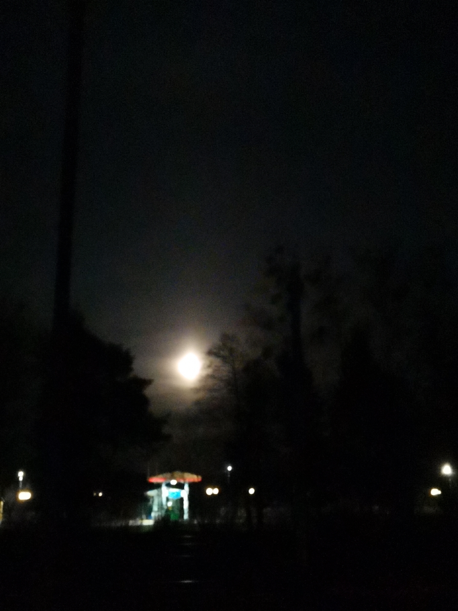 The image depicts a nighttime scene in Лосева, Belarus. A bright moon is visible in the sky. In the foreground, there is a structure that appears to be a small gas station or service area with a red roof and illuminated interior. The area around the structure is dark, with trees and other vegetation silhouetted against the night sky. There are lights visible near the gas station, suggesting streetlights or other illumination. The scene is dimly lit and has a calm, quiet atmosphere.