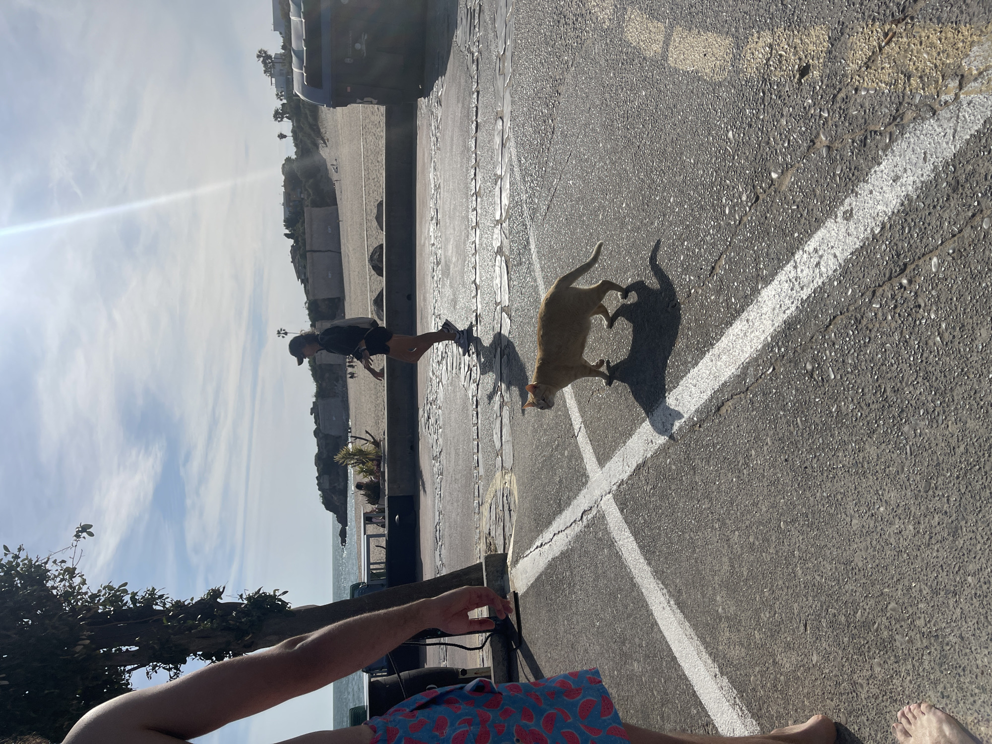 The image depicts an outdoor scene on a paved surface, likely a parking area or street in El Puerto de Santa María, Spain. In the foreground, a seated individual is visible with bare arms and legs clad in shorts featuring a watermelon print. Behind them, the ocean and trees are visible. A light-skinned person in dark clothing stands between the camera and a concrete barrier near the beach. An orange cat casts a heart-shaped shadow on the pavement near the person in dark clothing. White lines form a cross or parking space marker on the paved surface. The sky is partly cloudy. A trash bin is visible near the concrete barrier.