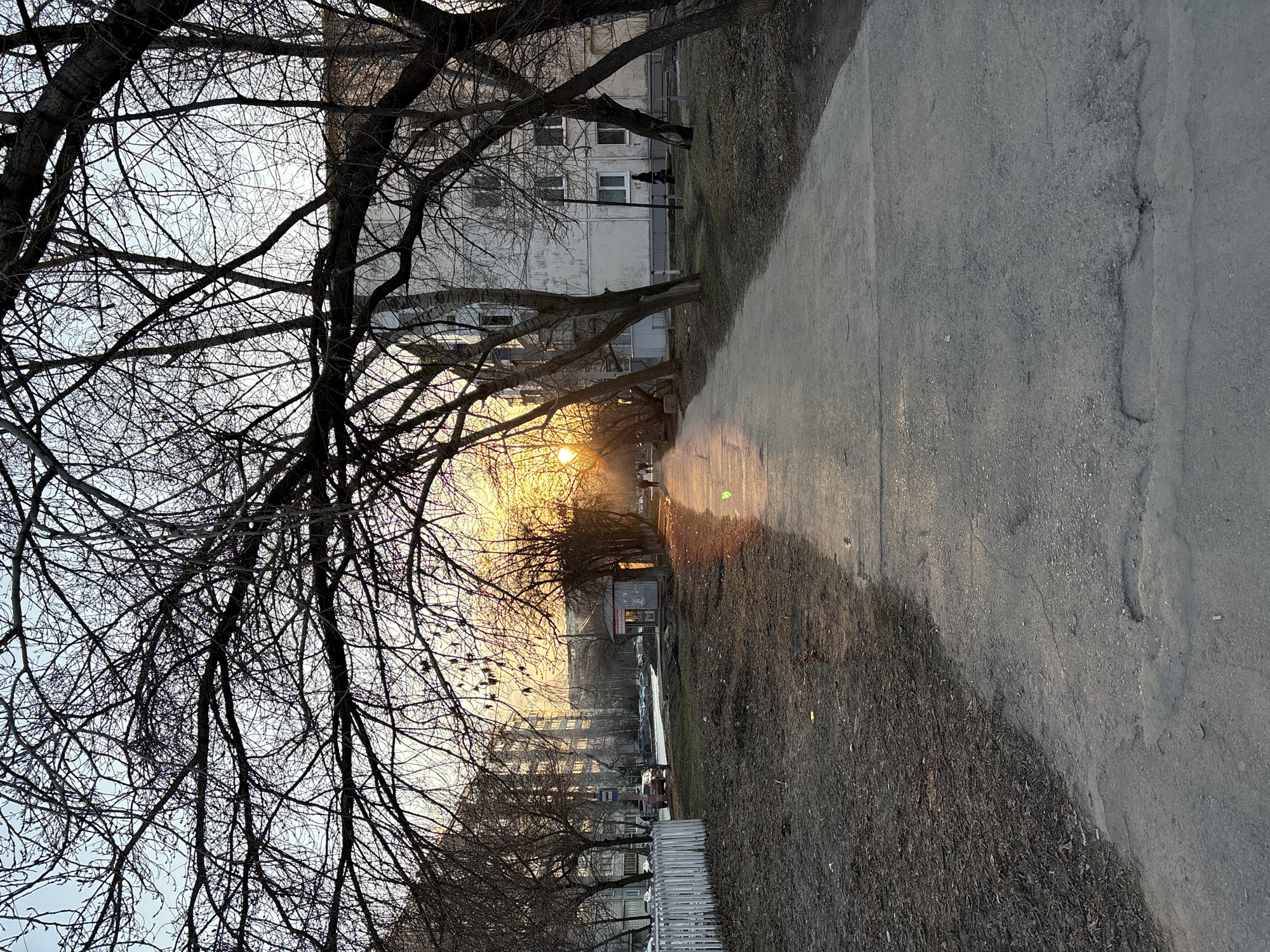 The image depicts a sunset scene along a sidewalk in what appears to be an urban area of Ulyanovsk, Russia. In the foreground, bare tree branches dominate the left side of the frame, silhouetted against the sky. The sun is visible in the distance, partially obscured by more trees along the street. The sidewalk is cracked and worn, showing a clear division between the pavement and the darker, possibly wet, ground. In the middle ground, buildings and infrastructure elements like a bus stop are visible. The sunlight casts a long, diffused glare down the sidewalk, emphasizing its texture. No people are clearly visible in the image.