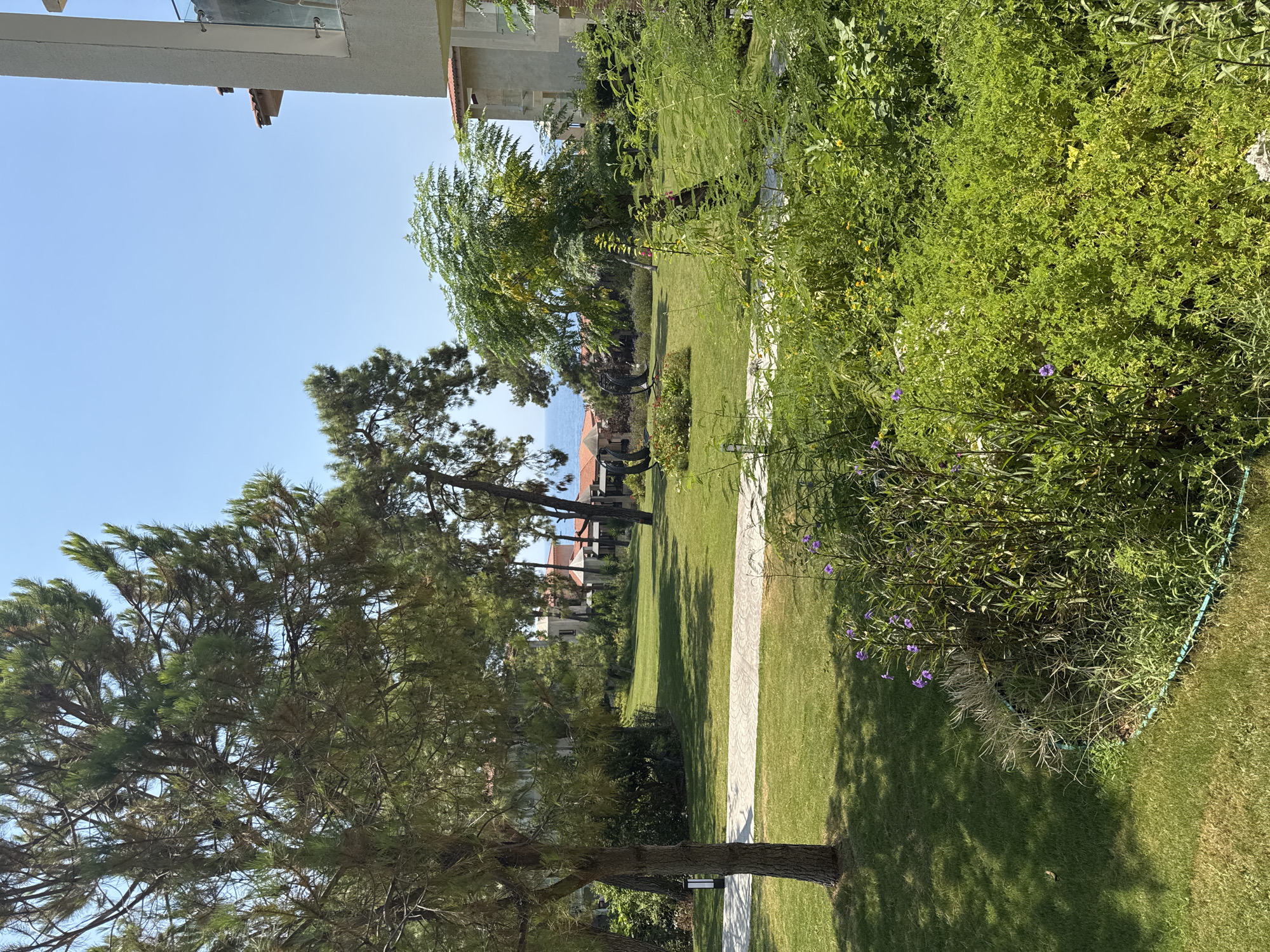 This image captures a serene garden scene in Fethiye, Turkey. A well-maintained lawn stretches across the foreground, bordered by lush green bushes and small purple flowers. A paved pathway winds through the grass, leading towards a cluster of trees. In the background, several buildings with terracotta roofs are visible, interspersed with more greenery. Beyond the buildings, the blue expanse of the sea can be seen under a clear, bright sky. The overall impression is one of a tranquil resort or residential area.