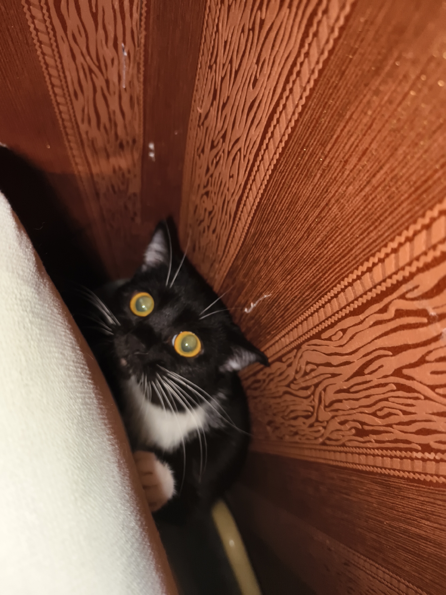 A domestic short-haired cat, primarily black with white markings on its chin, chest, and paws, is positioned in a confined, dimly lit space, peeking out and looking directly at the camera in the city of Unknown, Unknown. Its large, reflective yellow-green eyes with vertical pupils are prominent due to direct light. Long white whiskers fan out from its muzzle, and its black ears are slightly flattened. To the cat's immediate left, a portion of an off-white, textured upholstered surface is visible, against which the cat's front left paw rests. The remainder of the frame, to the right and above the cat, is dominated by a vertical reddish-brown surface, likely wallpaper or a fabric panel, featuring multiple embossed patterns. These patterns include broad, wavy, organic lines, as well as segments of narrower vertical stripes and a woven or zigzag texture. Small, sparse white specks, possibly dust or debris, are scattered across this brown surface. The lower right portion of the scene is dark and indistinct, with a subtle curved lighter object visible at the very bottom.