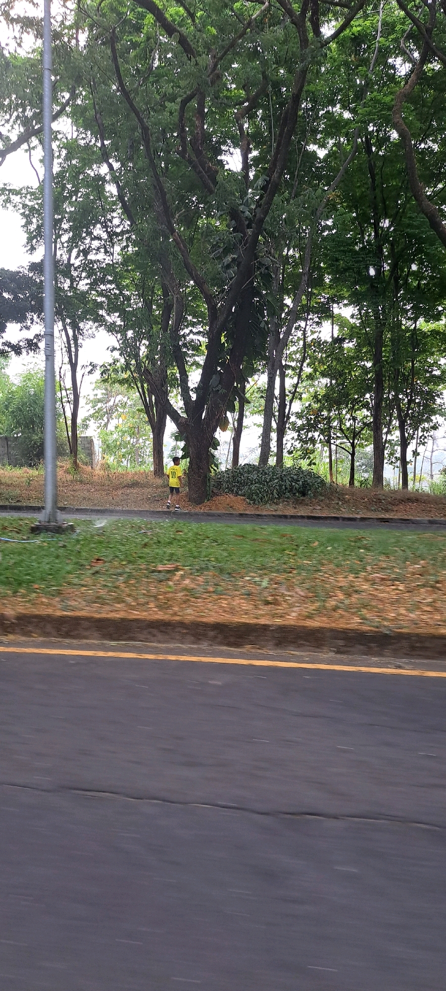 A young person, appearing to be male, is jogging on a paved path next to a grassy area with trees. The person is wearing a bright yellow shirt with the number "10" on it and dark shorts. The path is bordered by a road with a yellow line. The background consists of lush green trees and foliage. The scene appears to be outdoors, possibly in a park or along a scenic route. The image is taken from a slightly elevated perspective, looking across the road at the jogging individual and the surrounding greenery. The lighting suggests it is daytime, with overcast or diffused sunlight filtering through the trees. The overall atmosphere is calm and natural.