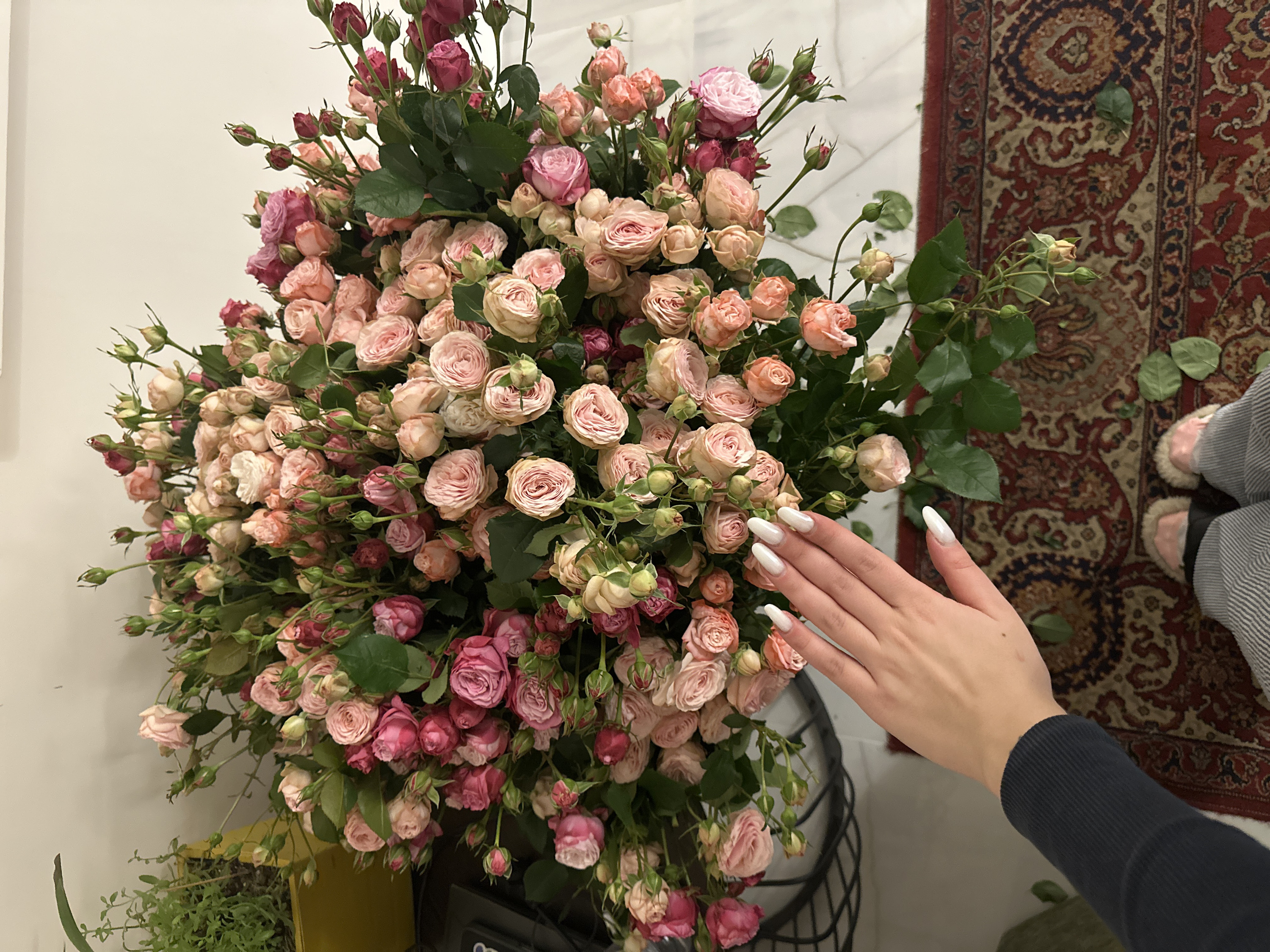 The image captures a vibrant and overflowing bouquet of spray roses, dominated by various shades of pink and cream, arranged indoors. The bouquet fills a large portion of the frame, showcasing numerous tightly closed buds and partially to fully open blossoms. The roses exhibit a range of pink hues, from soft, pale blush and creamy whites to more vivid medium pinks and deeper fuchsia tones. Lush green foliage is interspersed throughout the flowers, providing a contrasting backdrop to the delicate petals.
A person's right hand with fair skin is prominently featured on the right side of the image, reaching into or towards the bouquet. The nails are long, neatly shaped, and covered in a shiny, opaque white or off-white polish. The visible part of the wrist and forearm is clad in a dark blue or black ribbed long-sleeved garment, possibly a sweater or sweatshirt.
The background on the left and upper center consists of a plain, light-colored wall, likely white or off-white. To the right, a richly patterned rug with traditional motifs in shades of red, dark blue, and cream/tan is visible on the floor. A few scattered green leaves, presumably fallen from the bouquet, lie on the rug. Towards the bottom right, a foot wearing a pink-lined, possibly fuzzy, slipper and a striped garment (likely pants or pajamas) can be glimpsed on the rug. In the lower left, beneath the flowers, a corner of a yellow planter containing some small green leafy plants is visible. The bouquet appears to be held in a dark, possibly black, open-weave metal basket or stand, parts of which are visible at the bottom center. The lighting suggests an indoor setting, likely during the day or in a well-lit room. No text is visible in the image.
