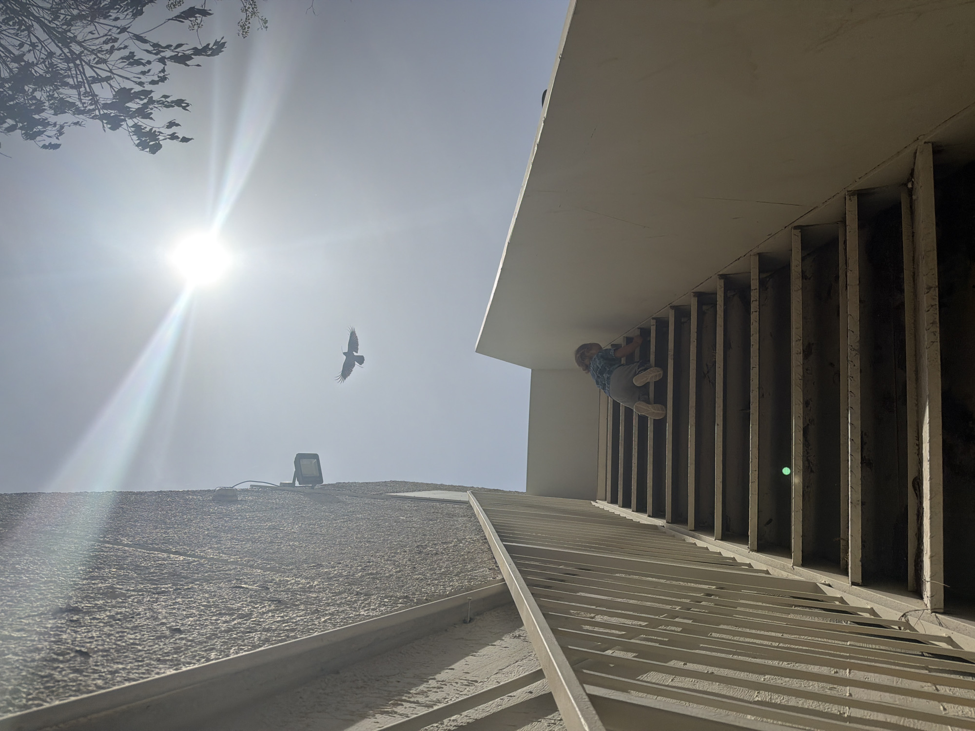 The photograph, taken from a low angle, shows a sunlit outdoor scene in Kiryat Bialik, Israel. A building with a light-colored, rough exterior wall is visible. Atop the wall is an outdoor light fixture. A series of parallel metal slats runs diagonally across the frame, possibly part of a ventilation system or architectural design feature. A person is positioned near the upper right corner of the frame, partially obscured by the slats; only their legs and torso are visible, suggesting they are hanging or climbing. In the sky, a bird flies towards the left of the frame. The sun is shining brightly, creating a strong glare. Branches from a tree appear in the upper left corner.