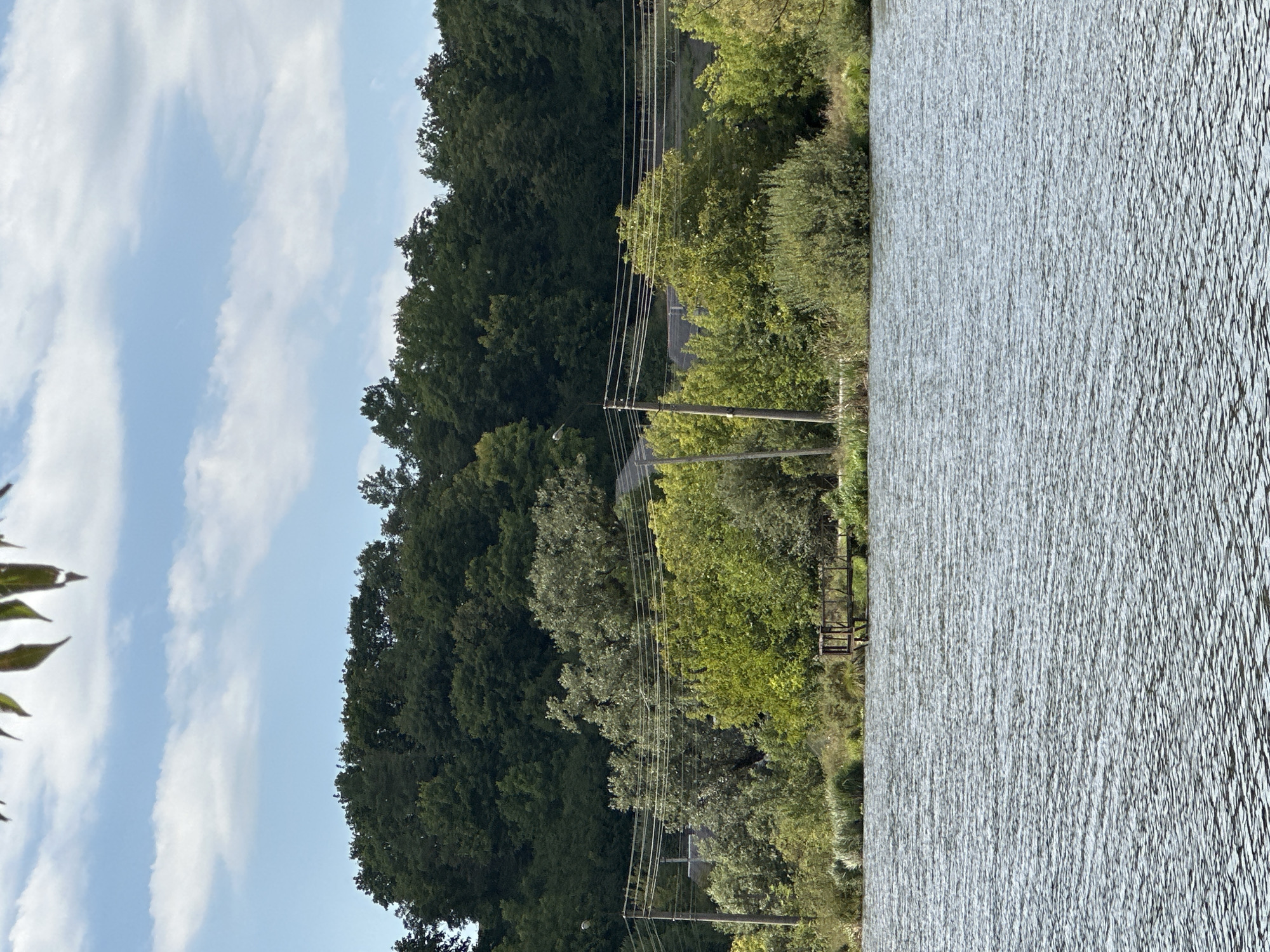 The image shows a wide body of water in the foreground, with rippling surfaces reflecting the light. In the background, a densely wooded hill rises behind a line of trees. Several utility poles with wires run horizontally across the scene, indicating the presence of infrastructure. There is a small wooden structure, possibly a pier or a platform, jutting out into the water on the right side. The sky above is a light blue with scattered white clouds. The overall impression is a serene, natural landscape with human elements integrated into it. This scene is consistent with the environment found near the Dnipro River in Makiv, Ukraine, known for its lush vegetation and recreational areas along the water.