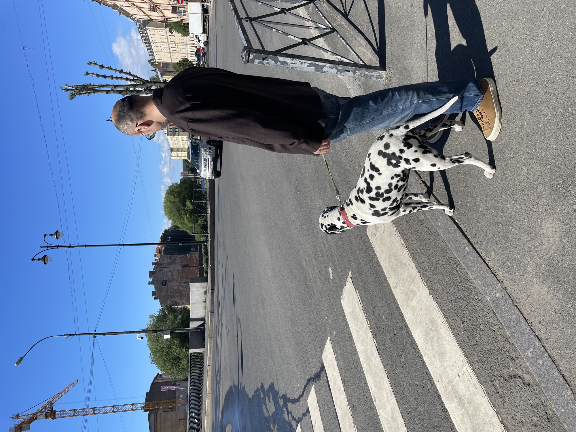 A man walks a Dalmatian dog across a crosswalk on a sunny day. The man is wearing a black jacket and blue jeans. The dog is white with black spots and is wearing a red collar. In the background, there are buildings, streetlights, and a crane. The sky is clear and blue. The scene appears to be a city street in Saint Petersburg, Russia. The time of day is likely midday due to the bright sunlight and shadows. The overall mood is relaxed and casual, suggesting a pleasant stroll. No visible text is present in the image.