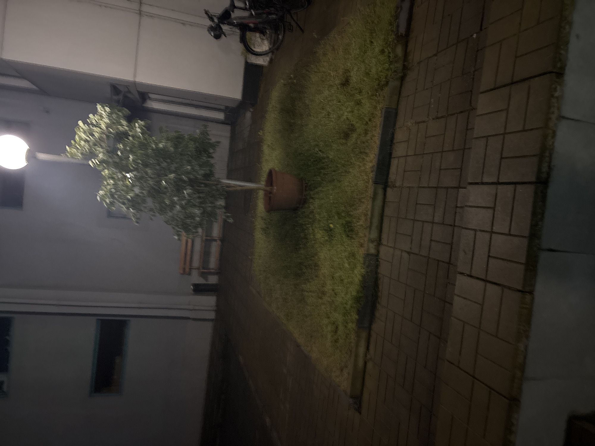 The image shows a dimly lit outdoor scene. There is a building on the left side with windows, and what appears to be a tree in a pot positioned in a grassy area. A bicycle is parked in the background. The right side of the frame shows a brick-paved walkway. The scene appears to be at night. There is no specific information that would pinpoint this scene to Plovdiv, Bulgaria.
