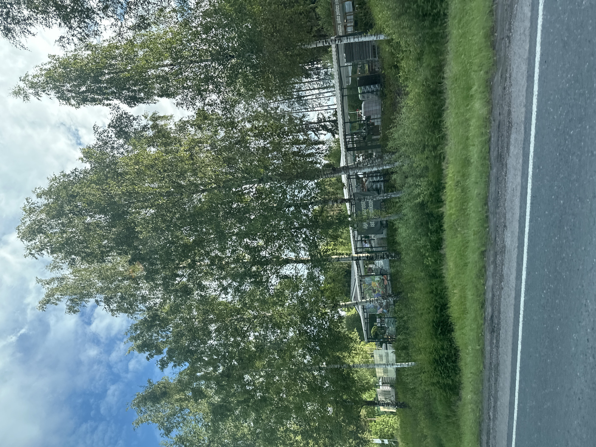 The image depicts a roadside scene with a cemetery on one side and a road on the other. The cemetery appears to be filled with birch trees, their white trunks contrasting with the lush green foliage. In the cemetery, there are various grave markers and structures, some with what appear to be decorative elements or images. A paved road with a white line marking runs along the right side of the image, indicating a transportation route.
The sky above is partly cloudy, suggesting it might be daytime, possibly late morning or afternoon. The overall atmosphere appears calm and serene, as is typical of a cemetery. There is no visible activity or event taking place, and no people are clearly discernible in the frame. The location context is unknown, but the presence of birch trees and the general scenery could suggest a temperate climate.
Some text is partially visible on signs within the cemetery, though it is not legible enough to read. The image is taken from a slightly elevated perspective, possibly from a vehicle traveling alongside the cemetery. The focus is primarily on the natural elements and the cemetery's landscape.