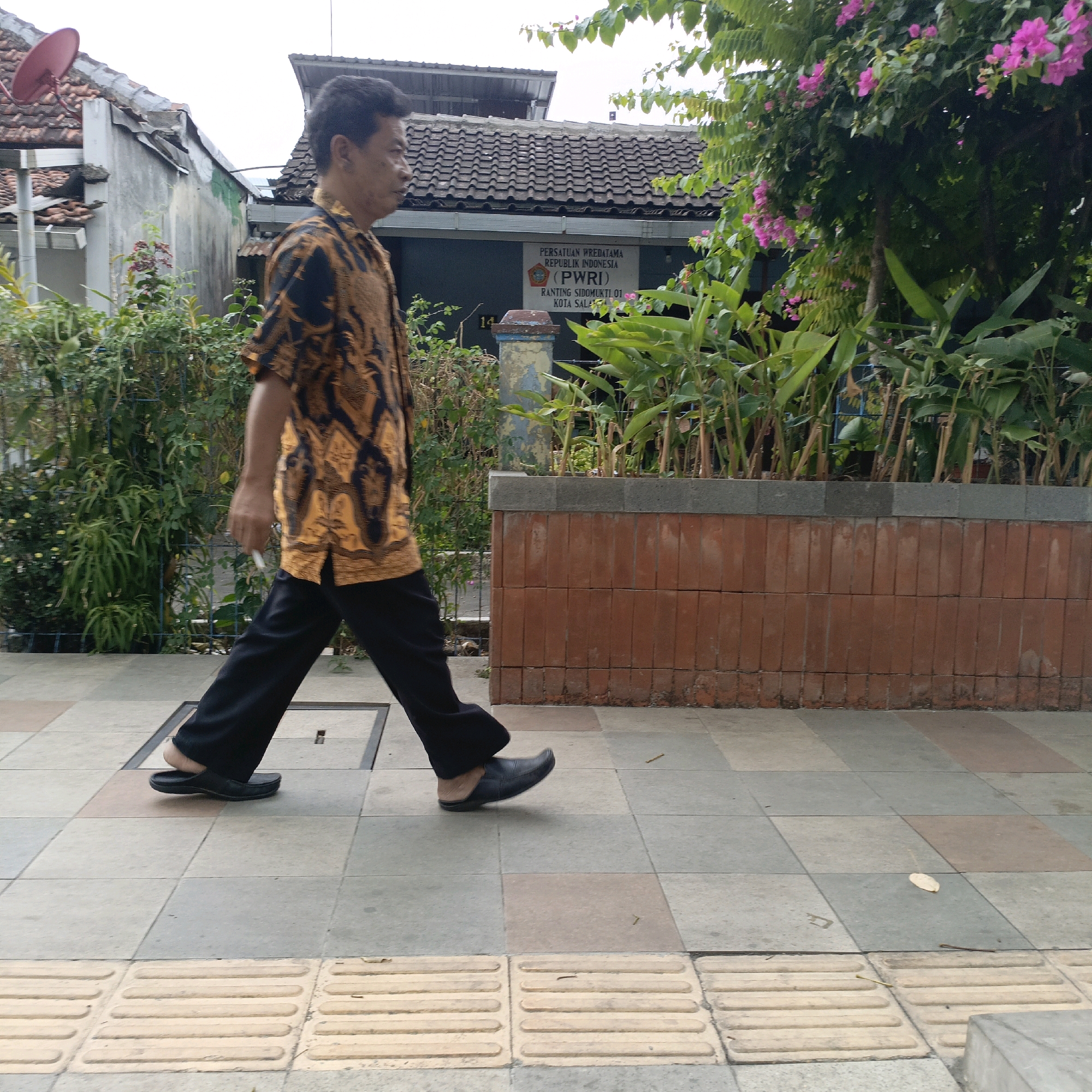 The image shows a man walking on a sidewalk in Salatiga, Indonesia. He is wearing a patterned short-sleeved shirt and black pants. The sidewalk is paved with square tiles, and there are tactile paving blocks for the visually impaired. In the background, there is a building with a sign that reads "PERSATUAN WREDATAMA REPUBLIK INDONESIA (PWRI) RANTING SIDOMUKTI.01 KOTA SALATIGA". There are also plants and a pink bougainvillea tree. The weather appears to be overcast.