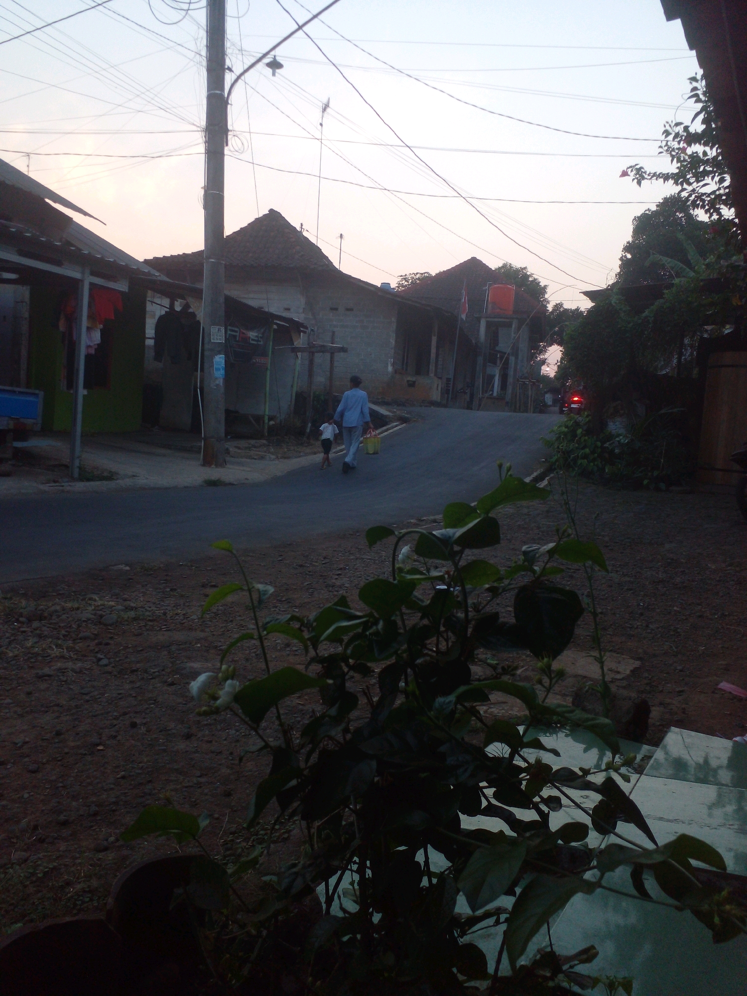 The image depicts a quiet street scene in Pungangan, Indonesia, likely during twilight. In the foreground, a dark green plant with white flowers is in focus, obscuring a portion of the scene. Beyond the plant, a paved road curves to the right. On the left side of the road, there are several buildings with tiled roofs, typical of Indonesian architecture. Clothes are hanging to dry in front of one of the buildings. Further down the road, two figures, a man and a child, are walking away from the camera. The man is wearing a light blue shirt and white pants, and is carrying two yellow buckets. The child is wearing a white shirt and dark shorts. On the right side of the road, there are more buildings and dense vegetation. In the distance, a car with its red taillights illuminated is visible on the road, indicating it is moving away. The sky above is a pale orange, fading into a lighter hue towards the top, suggesting the sun has recently set. Overhead, a dense network of power lines crisscrosses the sky, supported by utility poles. The overall atmosphere is serene and domestic, characteristic of a residential area in a rural or semi-rural Indonesian setting.