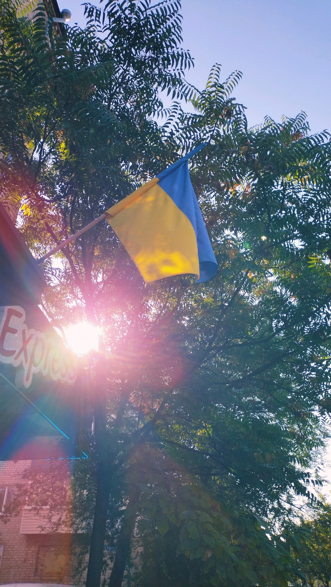 In Horishni Plavni, Ukraine, a Ukrainian flag, split horizontally into yellow on top and blue on the bottom, is displayed outdoors, attached to a wooden pole and billowing slightly. It is positioned against a backdrop of green foliage and a clear blue sky. Sunlight streams through the trees and the flag, creating lens flare effects and highlighting the leaves. To the left of the flag, a portion of a building with a sign that reads "Express" is visible. The building appears to be constructed of brick. The overall scene depicts a patriotic display in a semi-urban outdoor setting.