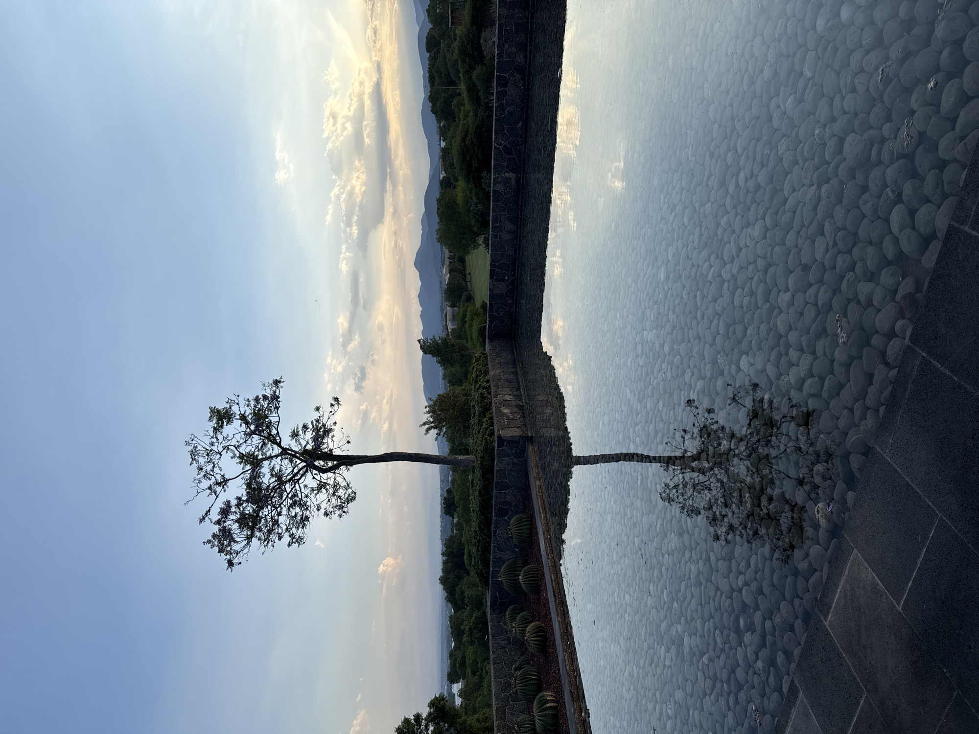 The image depicts a scenic view captured in Pueblo Nuevo de Jasso, Mexico. A solitary, leafless tree stands tall on the left side of the frame against a backdrop of a blue sky with scattered clouds, transitioning into mountainous terrain. A walled structure bisects the scene horizontally. Below the wall, a reflective surface, possibly water, mirrors the tree and sky above. The ground beneath the reflective surface is visible as a bed of round rocks, creating a textured contrast. Cacti are arranged between the viewer and the wall. The overall scene evokes a sense of serene landscape and reflection.