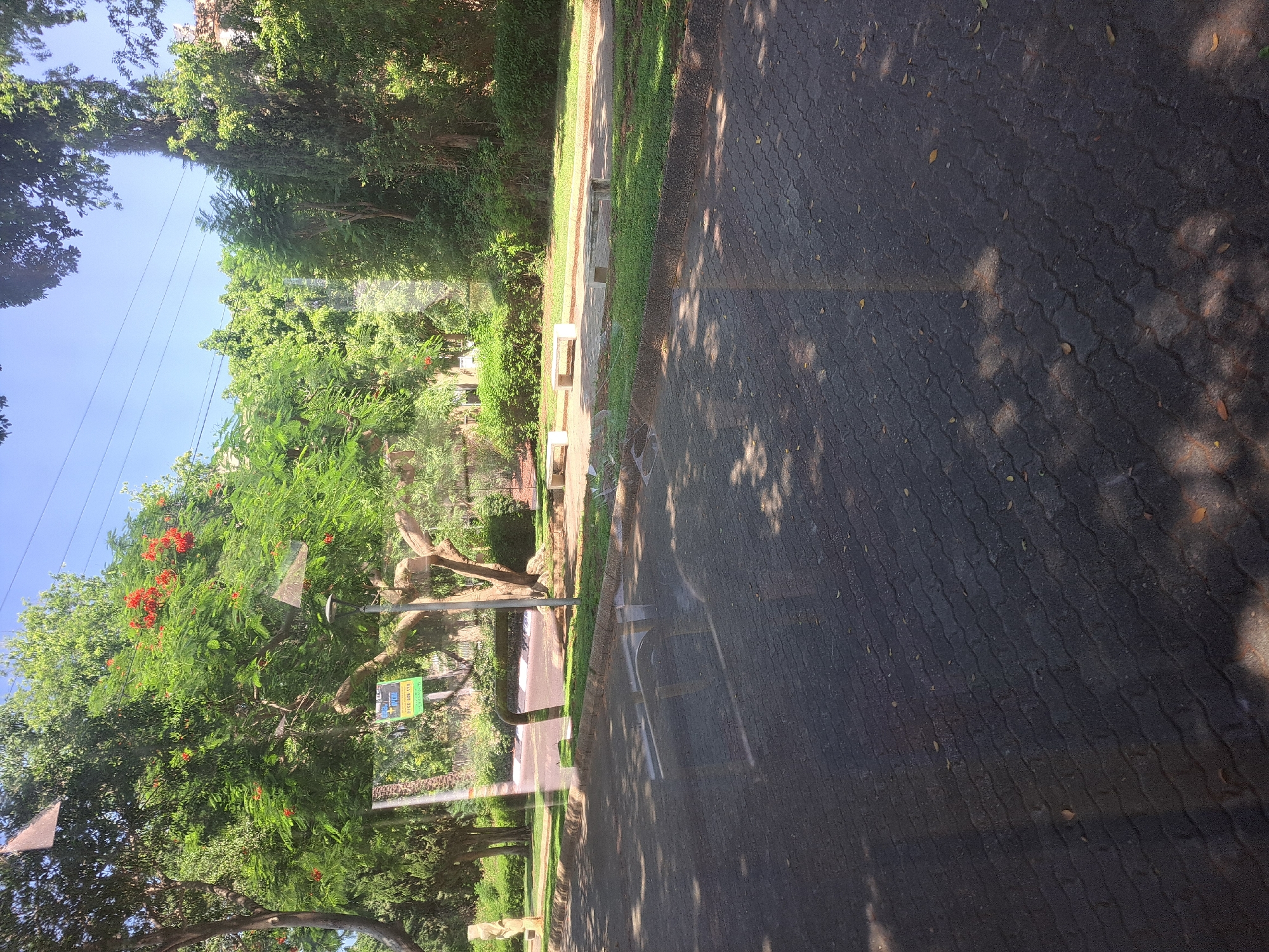 The image depicts a sidewalk and road area with lush greenery and trees. In the background, there are several benches, a lamppost, and a sign with Hebrew text. The road is paved with interlocking blocks, and there is a curb lined with grass. Sunlight casts shadows on the road, suggesting it is daytime. The setting appears to be a park or a residential area with ample trees. The presence of Hebrew text on the sign indicates the location is likely in Israel, possibly Raanana given the prompt's specific mention. The overall scene is peaceful and natural, with a man-made path and seating area integrated into the environment.