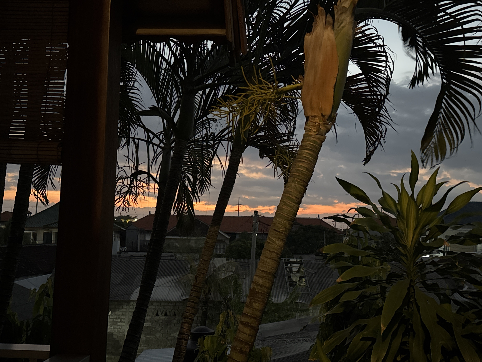 This image captures a twilight scene in Denpasar, Indonesia, viewed from a covered patio with wooden beams. In the foreground, a dark wooden pillar partially obstructs the view. To the left, a bamboo blind hangs, creating a striped pattern. Dominating the mid-ground are several palm trees with thick, textured trunks and dark green fronds. One palm tree in the center right has a cluster of yellow, spiky flowers or fruit emerging from its trunk.
Beyond the palm trees, a residential area unfolds. Buildings with corrugated metal roofs and some with tiled roofs are visible. The sky is a gradient of gray clouds with streaks of orange and yellow from the setting sun peeking through. The overall impression is a humid, tropical evening in an urban Indonesian setting. No people or specific actions are depicted.