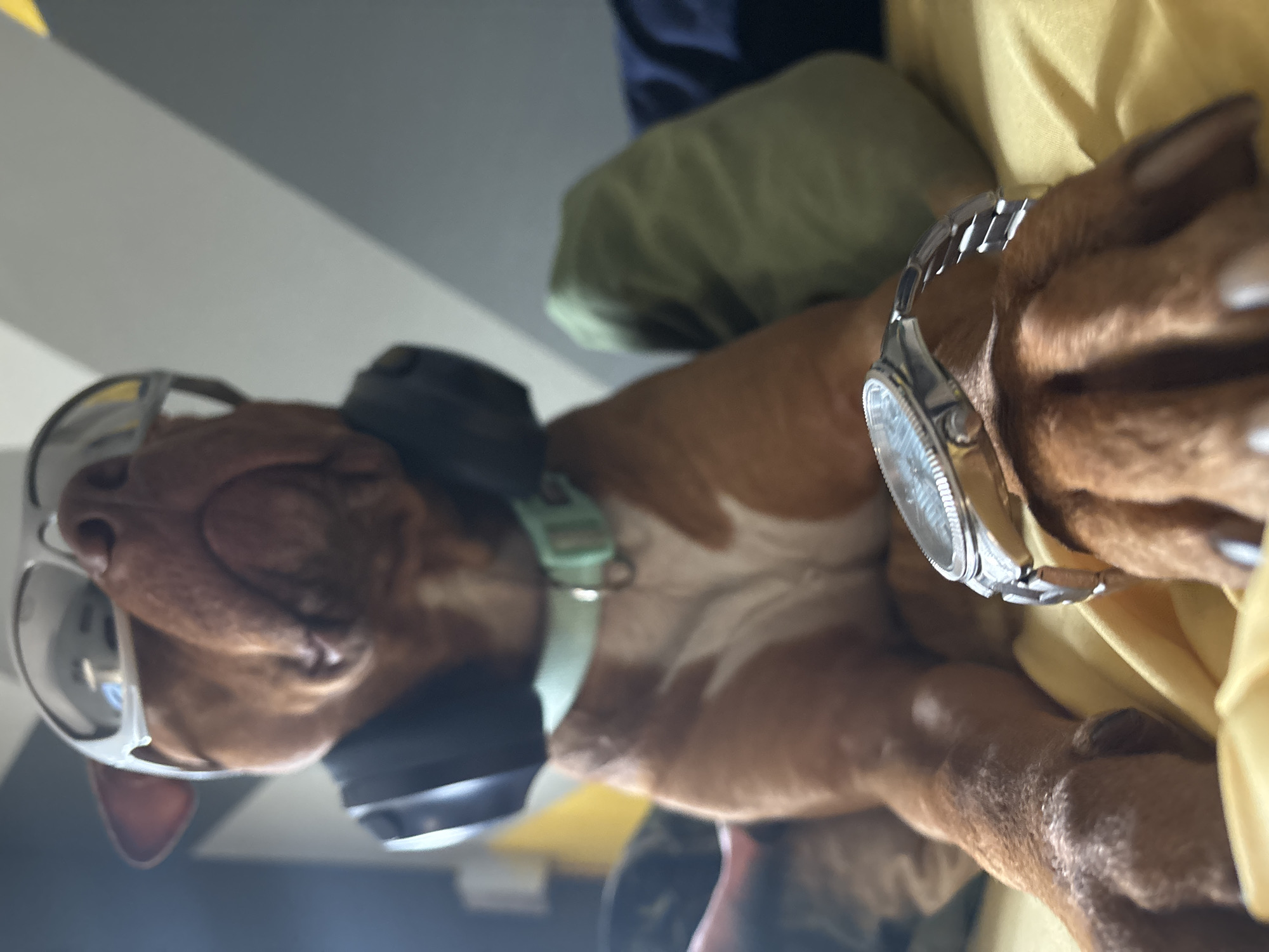 A brown and white dog is wearing aviator glasses, headphones, a light green collar, and a silver watch on its left foreleg. The dog is lying down on a yellow surface, possibly a blanket or cloth. In the background, there are other surfaces in colors of green, blue, and gray. The image is taken in Sofia, Bulgaria, but the indoor location is otherwise not definable.