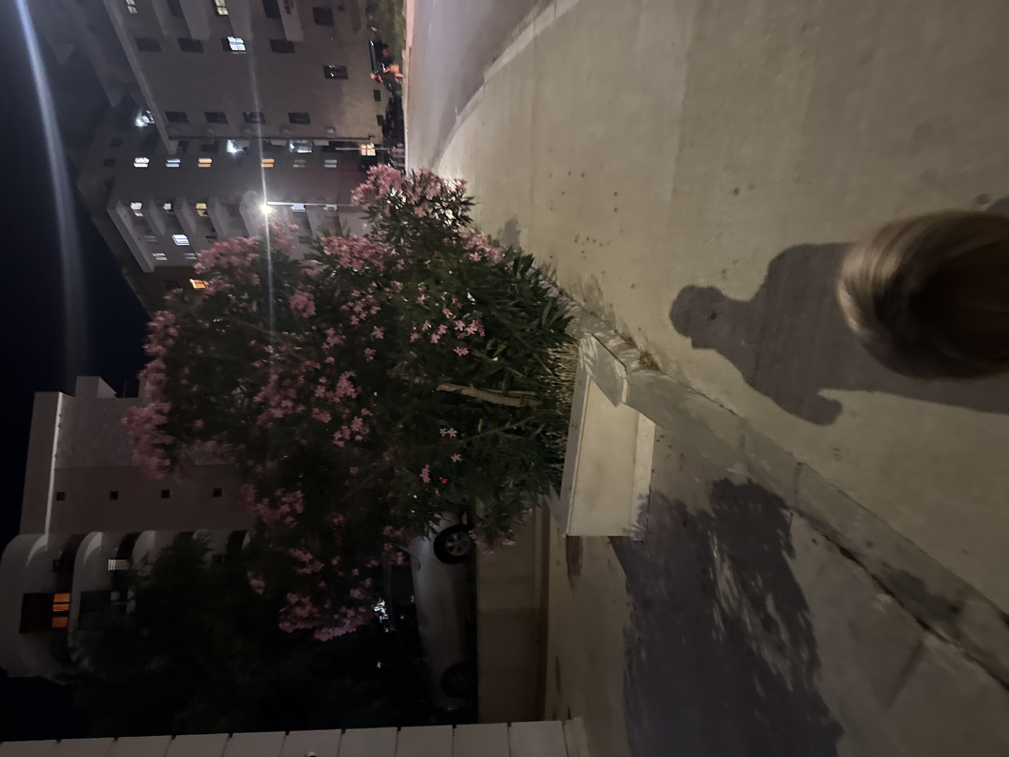 This image depicts a nighttime street scene in Boreti, Montenegro, featuring a sidewalk, a road, and residential buildings. A large shrub with pink flowers is prominent on the left side of the frame, situated in a planter box. A light-colored car is parked behind the shrub. The shadow of a person, likely the photographer, is cast on the sidewalk, with another person's head visible in the foreground. The buildings are illuminated, with lights visible in some windows. The road appears to be paved, and streetlights are present, casting a glow on the environment.