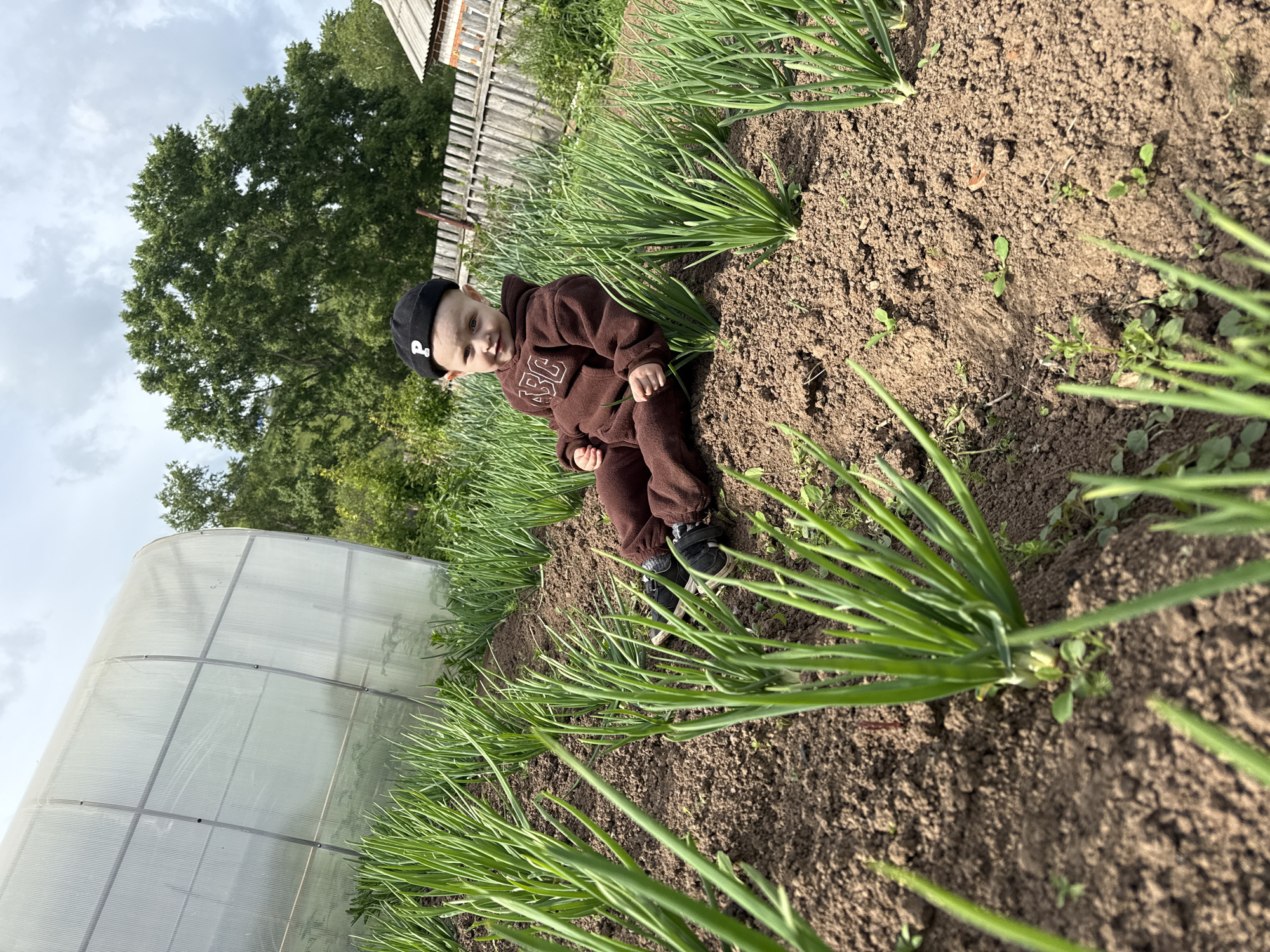 A young child wearing a brown hooded tracksuit and a black cap is sitting or crouching on the ground in a garden. The child looks towards the camera with a neutral or slightly curious expression. The tracksuit has "ASC" printed in white on the front, and the cap features a small white symbol, possibly a stylized 'P'.
The setting is an outdoor garden, likely in a rural area like Ляльшур, Russia, with rows of tall, thin green plants, resembling spring onions or chives, growing in dark brown soil. In the background, to the child's left, a curved, translucent greenhouse structure made of polycarbonate panels is visible. Behind the child, a wooden fence, large green trees, and a partly cloudy sky complete the scene.
The child appears to be calmly exploring or resting amongst the plants. The time of day is daytime, under natural, soft light from an overcast or partly cloudy sky. The cultivated rows and structures suggest a well-tended private garden or small farm.