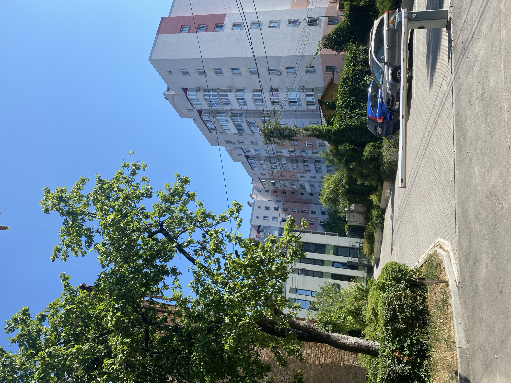 This is a forensic, matter-of-fact description of a scene in Vinnytsia, Ukraine. The image depicts a paved driveway leading to a residential complex on a clear, sunny day. A green tree with dense foliage stands to the left, partially obscuring a brick building. In the foreground, a white and yellow retractable barrier arm is lowered across the driveway, suggesting a controlled entry point. Two cars are visible parked behind the barrier: a dark gray SUV and a blue SUV. Behind the cars, a multi-story apartment building with a light gray and pink facade rises against a clear blue sky. Several windows and balconies are visible on the building, some with air conditioning units. Greenery, including bushes and ivy-covered structures, surrounds the base of the buildings. The overall impression is one of a well-maintained residential area under bright daylight conditions. There are no people visible in the image.