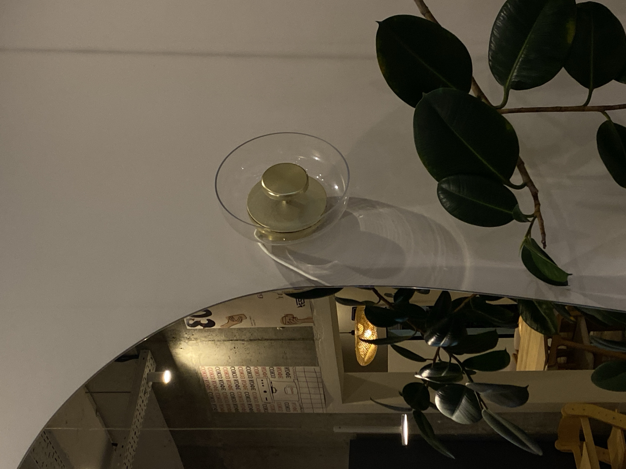 The image captures a dimly lit interior scene, likely a cafe or a similar establishment, in Yantarnyi, Russia. Dominating the foreground is a large, dark green rubber plant, its glossy leaves reaching towards the viewer. To the left, a large, curved mirror reflects parts of the room, including a ceiling light fixture and what appears to be a poster or artwork on a concrete wall. The reflection also shows a golden pendant light fixture hanging lower down. A wall-mounted light fixture with a clear glass shade and a brass base is visible on the right side of the image. The background, as seen in the mirror, suggests a seating area with wooden tables and chairs. The overall atmosphere is subdued, with warm lighting accents contrasting with the dark foliage and reflective surfaces.