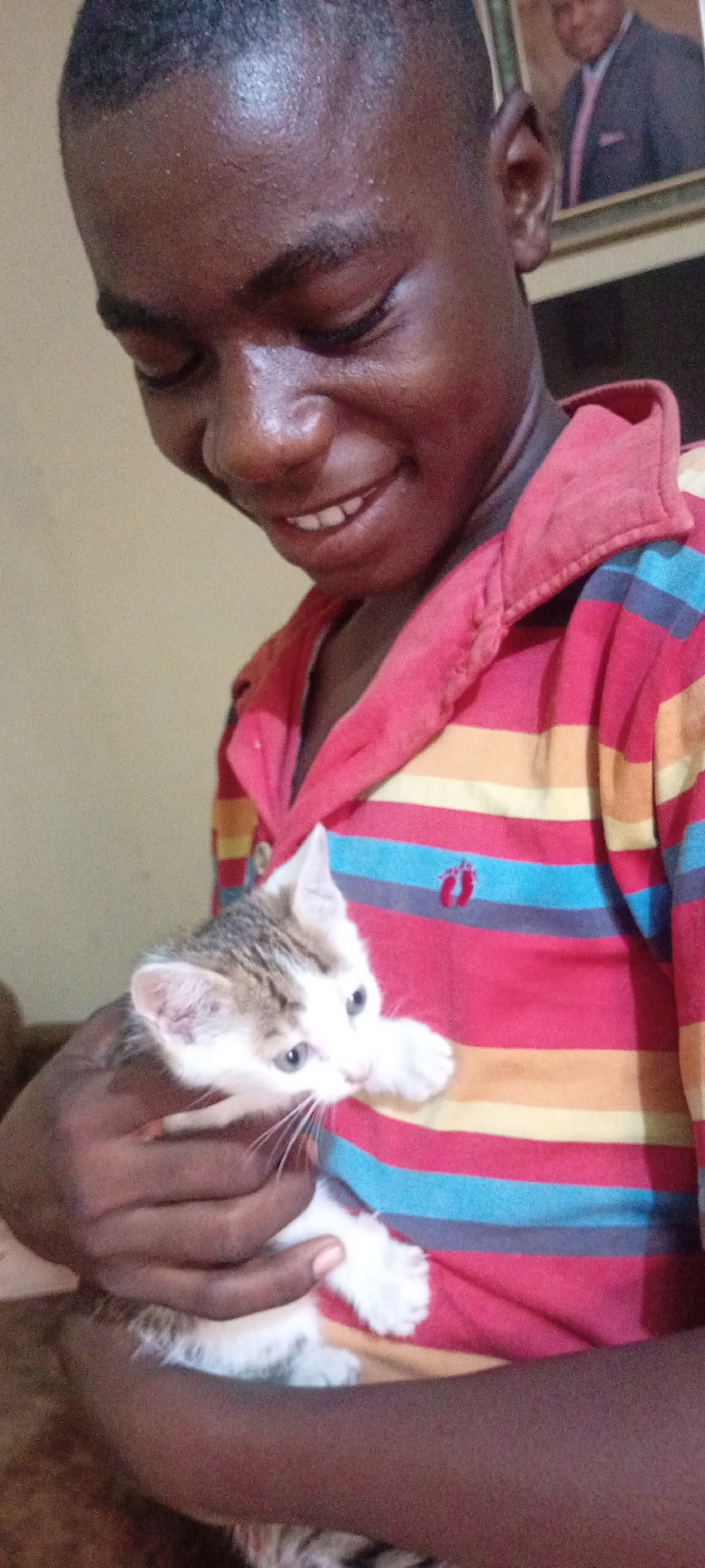 This close-up image, captured in Gama, Nigeria, portrays a tender moment between a young Black male and a small kitten. The man, with short dark hair, is seen from the chest up, looking down with a joyful smile. He wears a striped polo shirt featuring red, yellow, and blue horizontal bands, with a reddish collar and a small, abstract embroidered logo on the left chest.
He is gently holding a tiny kitten against his chest. The kitten is primarily white with distinctive grey or brown tabby markings on its head and back. It has light-colored eyes and prominent white whiskers, appearing calm and relaxed in the man's embrace. The man's expression suggests happiness and affection for the animal.
The background consists of a plain, light-colored wall, indicating an indoor setting, likely a home. In the upper right corner, a framed picture is visible, showing a man in a suit. The lighting is typical of an indoor environment, but the specific time of day is not evident. There is no visible text in the image. The scene conveys a heartwarming interaction between the individual and their pet.