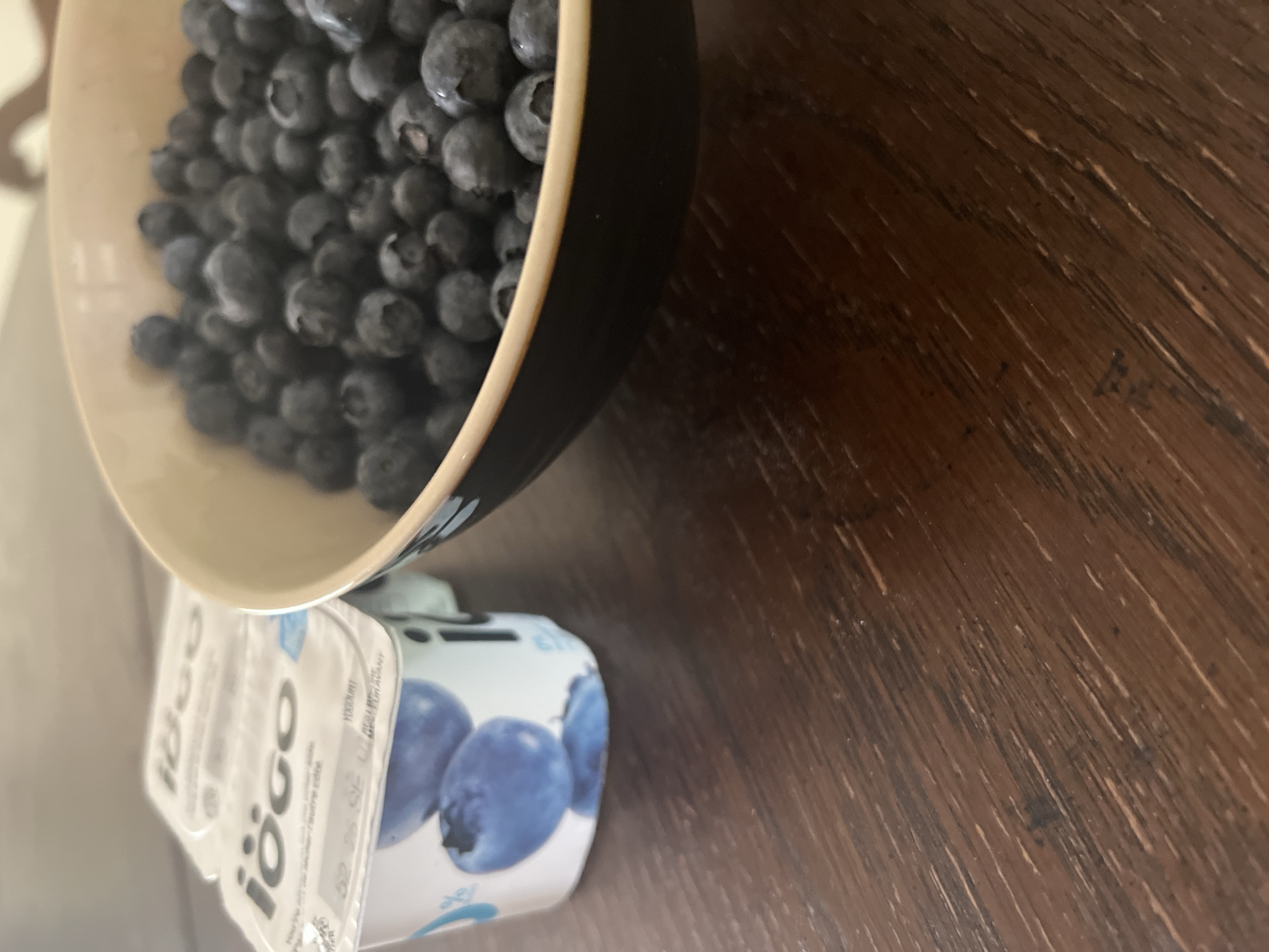 A still life image displays two containers of iögo yogurt and a bowl of blueberries on a dark wooden table. The yogurt containers are white with blue branding, one stacked atop another. The bowl, dark on the outside and lighter on the inside, is filled with blueberries. The lighting suggests an indoor setting. There is no indication of the city of Revelstoke, Canada.