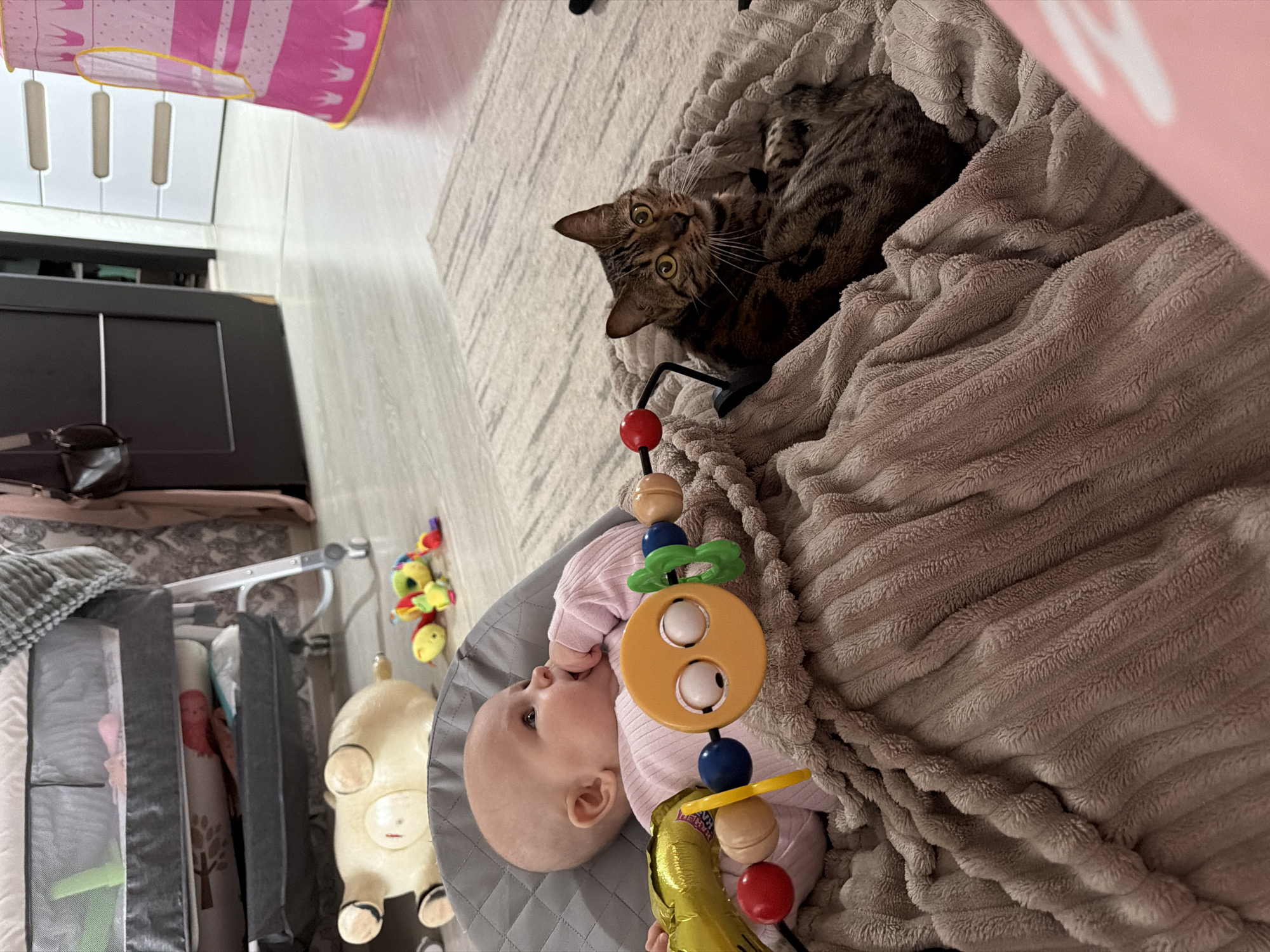 The image presents an indoor scene featuring an infant and a tabby cat, set in what appears to be a domestic environment, possibly in Noviy, Russia. The perspective is rotated, making the floor and carpet appear as a wall in the background.
An infant, wearing a light pink, long-sleeved top, is lying on their back in a grey padded baby bouncer or seat. The baby has one hand near their mouth and is looking upwards/sideways, seemingly engaged with a colorful toy bar positioned above. The toy bar features various wooden beads and plastic elements, including a prominent yellow-orange disc with two white 'eyes' and a shiny golden object, possibly a crinkly toy or balloon, dangling below.
Beside the baby, a brown and black striped tabby cat with bright yellow-green eyes is resting on a soft, textured light brown blanket. The cat is looking directly at the camera with an alert, curious, and wide-eyed expression.
The background reveals additional elements of a lived-in space. On the left, a grey mesh-sided crib or playpen is partially visible, next to which a light-colored, possibly inflatable toy animal (resembling a sheep or pig) and another small, colorful hanging toy are present. Further left, a dark gray or black piece of furniture, such as a chest of drawers, is visible. A light-colored, patterned carpet covers a significant portion of the floor/background, and a pink fabric item with white crown-like patterns is partially seen in the upper left corner.
The scene captures a calm, domestic moment, showing the peaceful coexistence of the baby and the cat. The time of day is not discernible, as the lighting is ambient and typical of an indoor setting. There is no visible text in the image.