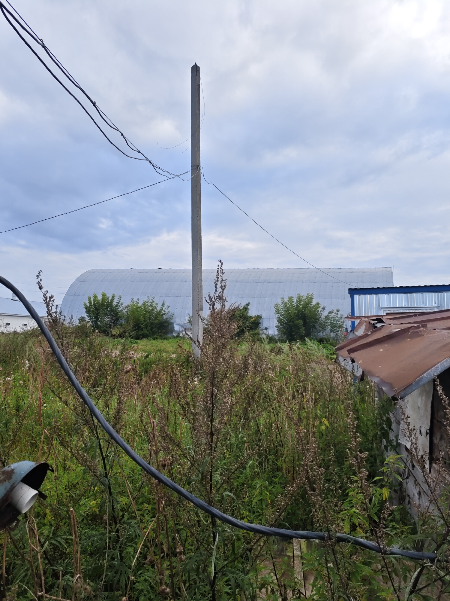 In the foreground, overgrown dry grass and some green vegetation are visible. A thick black cable runs diagonally across the lower portion of the image. To the right, the corner of a rusty metal roofed structure is seen, with its weathered concrete base. Behind this, a tall, slender concrete utility pole stands. In the mid-ground, a large, light-colored, arched building with a corrugated metal exterior dominates the scene. Smaller green trees are situated in front of this building. To the right of the arched building, a smaller blue and white structure is partially visible. The sky above is cloudy and overcast. The overall scene depicts an outdoor, semi-industrial or storage area, likely located in the village of Platoschino, Russia, given the context. No people are present.