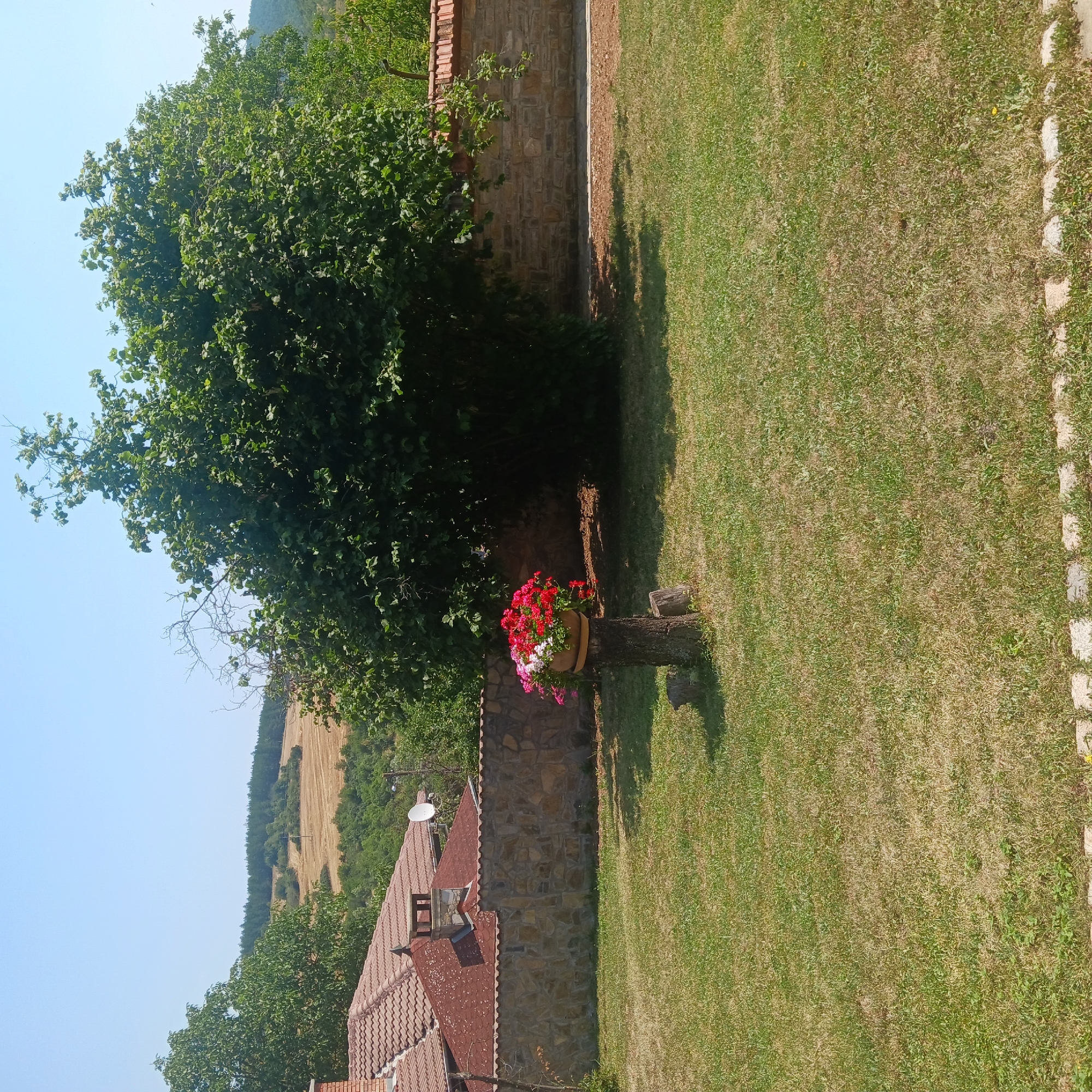 The image depicts a yard with a stone wall and a large tree in Sulitsa, Bulgaria. In the foreground, a well-maintained lawn is visible, with a patch of dry grass in the center. A tree stump stands in the yard, adorned with a pot of red and white flowers. The stone wall, constructed from irregular stones, runs horizontally across the middle ground, separating the yard from the background. Beyond the wall, a dense green tree dominates the scene, with its branches reaching towards the sky. In the distance, rolling hills with cultivated fields and a line of trees are visible under a clear blue sky. A portion of a building with a red-tiled roof and a chimney is also visible on the left side of the image.