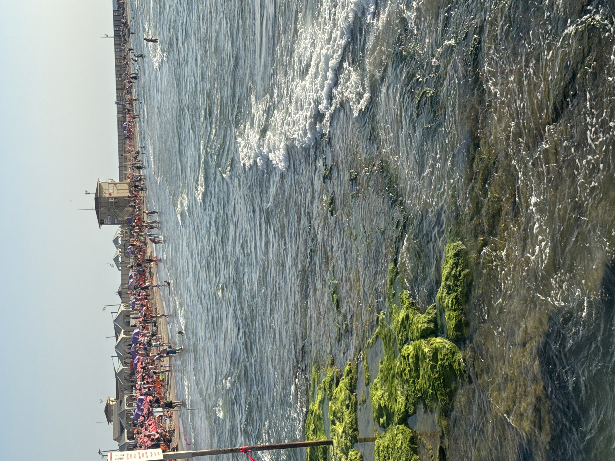 This image depicts a bustling beach scene in Tel-Aviv, Israel, likely during daylight hours under a clear sky. In the immediate foreground, shallow ocean water washes over dark rocks heavily covered with vibrant green moss or algae, with small waves and white foam visible. A dark metal post with a red ribbon tied near its base protrudes from the water on the far left.
The midground features a sandy beach populated by a large number of individuals. Numerous pink, red, and orange beach chairs are arranged on the sand, some positioned under large, square, light-colored canopies or individual purple and pink parasols. A two-story, light-colored concrete lifeguard tower with external stairs is prominent on the left side of the beach. Several white-roofed structures, possibly changing rooms or rental stands, are situated further back from the water's edge.
Many people are present on the beach, engaged in activities such as sunbathing, sitting, walking, and standing. Concurrently, a significant number of individuals are in the ocean, wading, swimming, or interacting in the water. The sea exhibits moderate waves with visible white caps. In the background, a long concrete or rock breakwater extends into the sea on the right, with additional people visible on its surface. The sky is a clear, light blue, meeting the distant horizon over the sea.