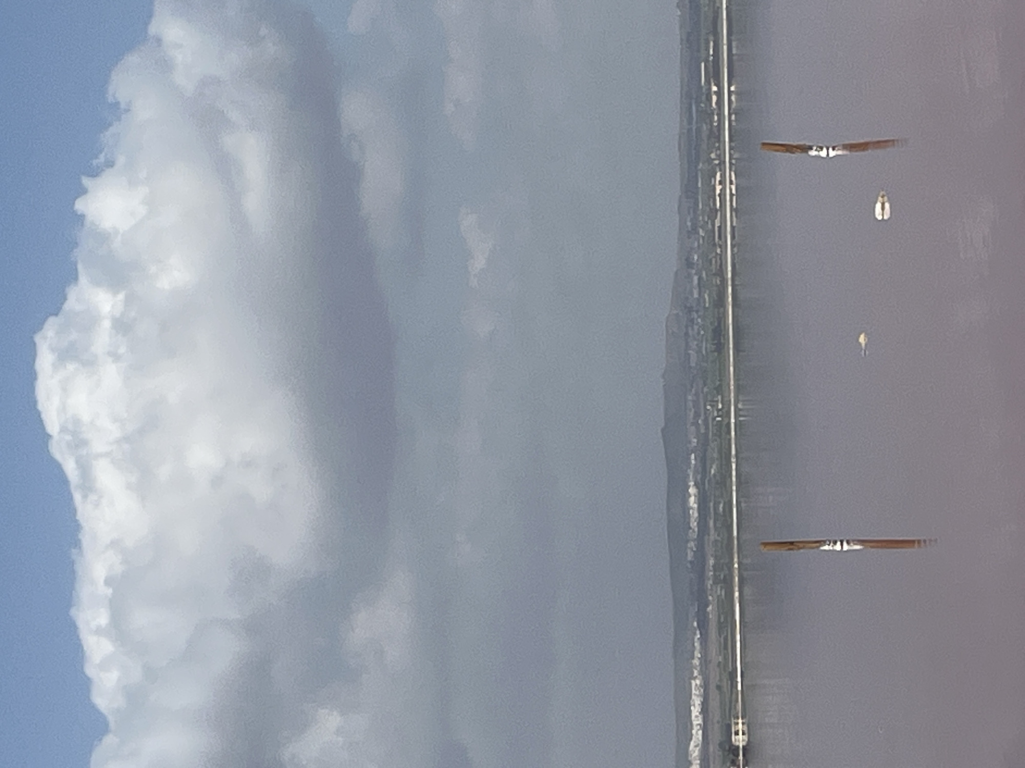 This image shows a body of water with a pinkish hue, likely a salt lake, in Torrevieja, Spain. In the foreground, two wooden posts are partially submerged in the water, with their reflections visible below. Several small, light-colored objects, possibly pieces of salt or debris, are also scattered in the water near the posts. In the background, a long, thin strip of land with buildings and vegetation separates the salt lake from a distant hilly landscape. The sky above is a mix of blue and gray clouds.