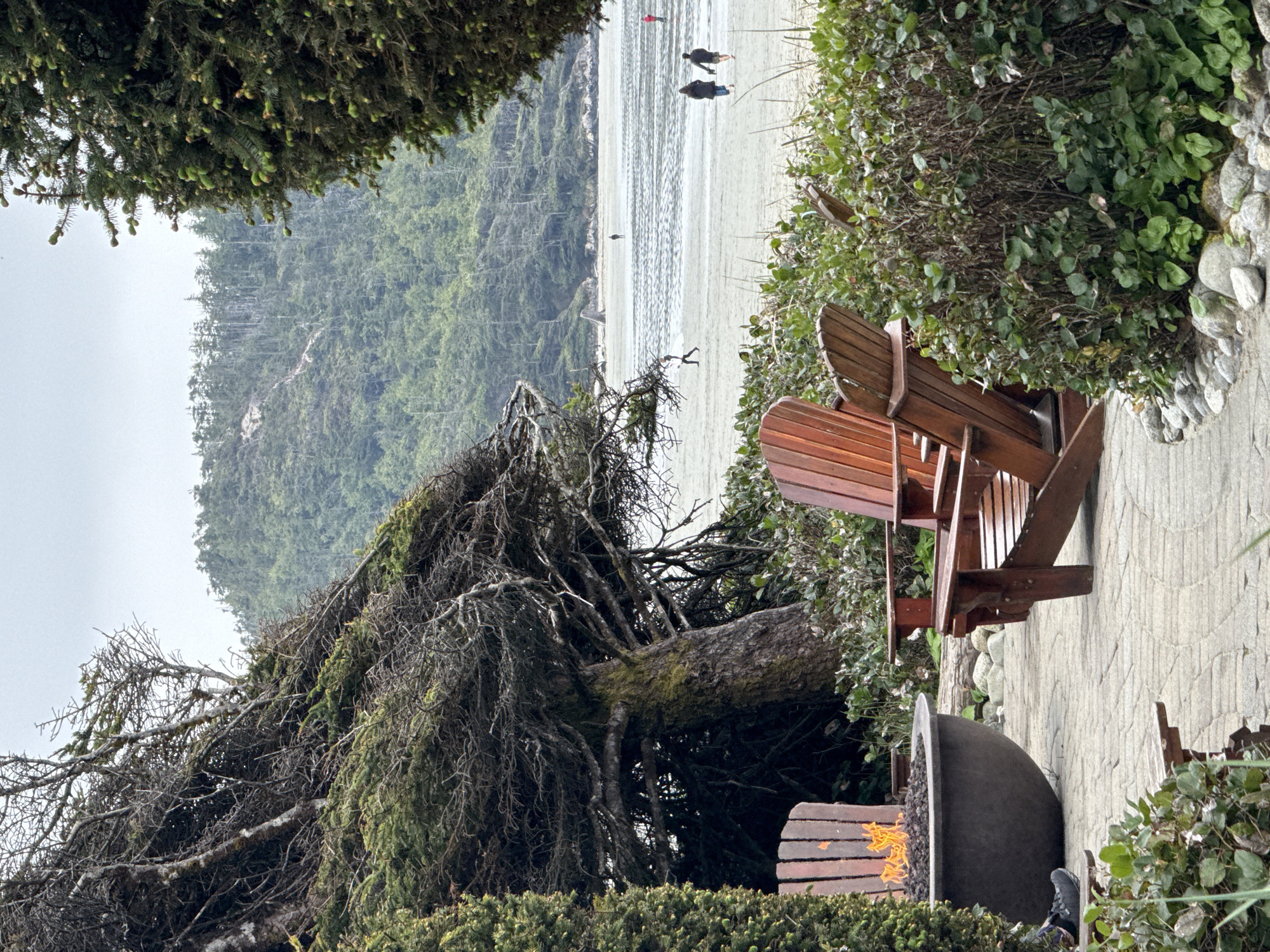 The scene is located in Tofino, Canada, and depicts an outdoor area with a view of a beach. Two wooden Adirondack chairs are positioned on a stone patio next to a cylindrical fire pit with visible flames. The patio is bordered by lush greenery on either side. In the background, a sandy beach is visible, with two people walking along the shoreline. Further back, a densely forested hillside stretches into the distance under a cloudy sky. A large, moss-covered tree branches out over the patio area.