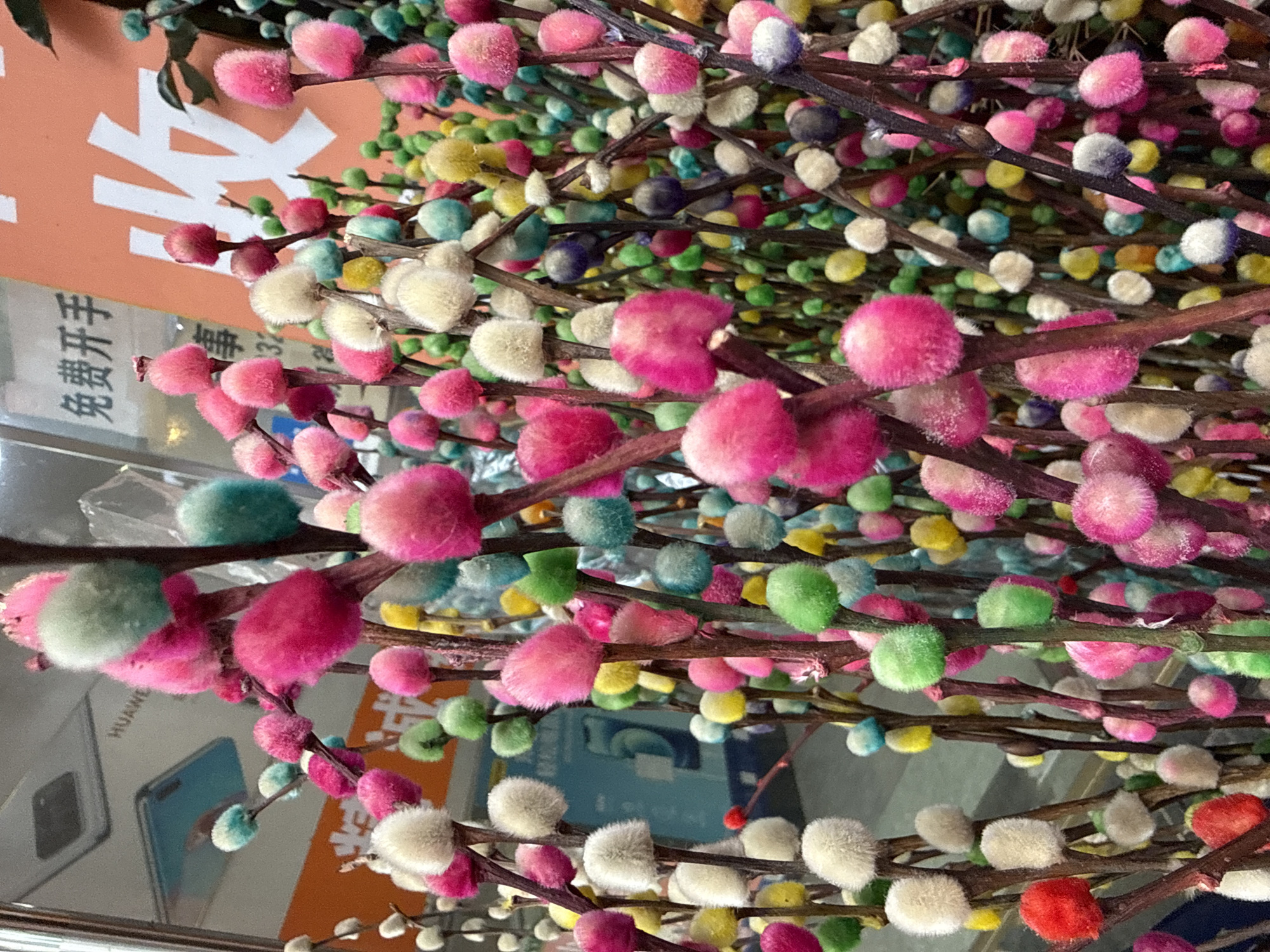 The image shows a close-up of a bouquet of colorful pussy willow branches. The branches are adorned with numerous fluffy, spherical buds in various vibrant colors including pink, white, green, blue, yellow, and red. The background is blurred but appears to be an indoor setting, possibly a shop, with hints of signage in Chinese characters and a display of a smartphone. The lighting suggests an indoor artificial light source. The overall impression is of a decorative display, likely for sale or as a festive arrangement. The location is identified as Huizhou, China.