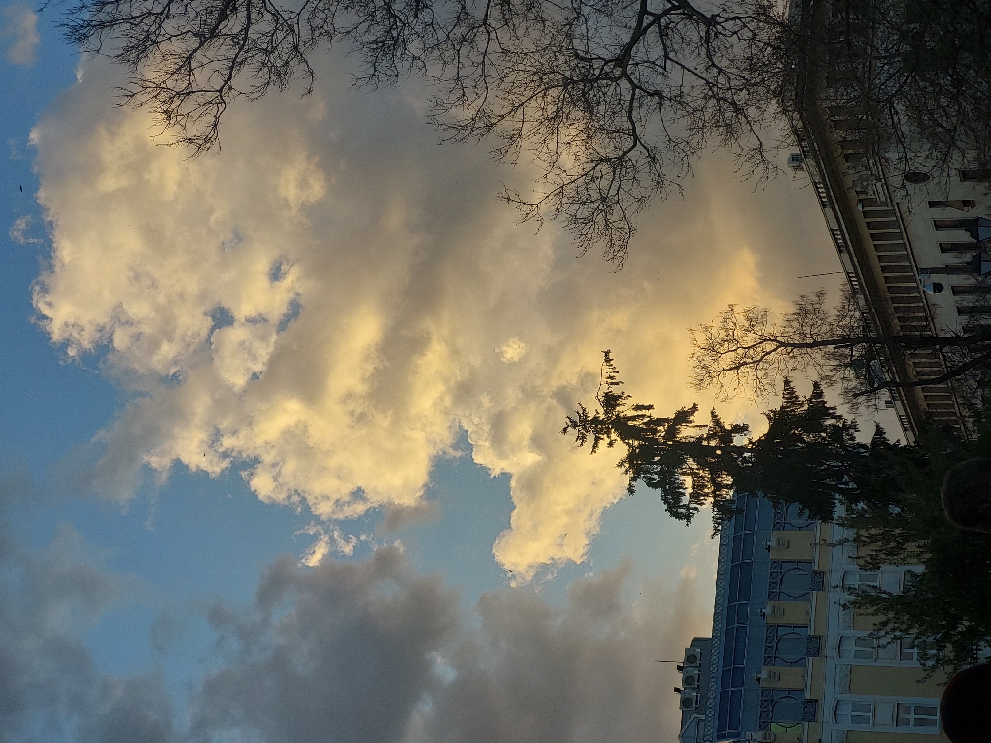 The image shows a view looking upwards, seemingly taken outdoors in an urban environment. Predominantly, the scene is filled with the sky, showcasing a mix of light blue and cloud formations. The clouds vary in color from pale yellow to gray, suggesting the presence of sunlight. Bare tree branches are visible at the top of the frame, obscuring portions of the sky. Along the right edge of the image are buildings, one with a visible facade featuring windows and balconies. A tall, dark green conifer tree also occupies a portion of the right side, partially obscuring the buildings. The perspective suggests the photo was taken from a relatively low vantage point, looking upwards towards the sky and buildings. The location appears to be the city of Unknown, Unknown.