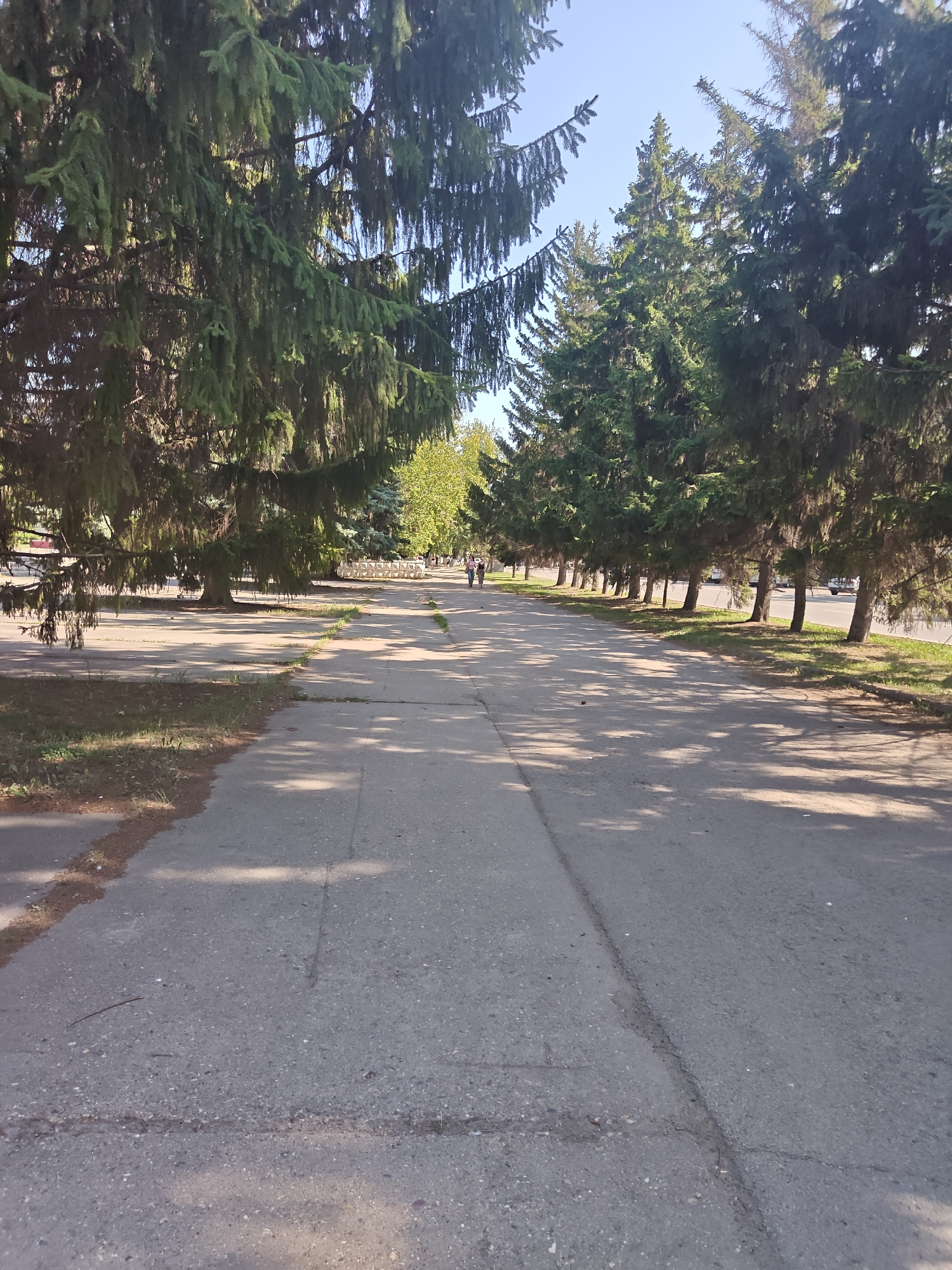 This image depicts a wide paved walkway lined with coniferous trees on both sides. The walkway appears to be in a park or a tree-lined street in the city of Petropavl, Kazakhstan. The walkway is made of asphalt and shows some signs of wear, with visible cracks and patches. Sunlight filters through the trees, casting shadows on the walkway. In the distance, two people are walking away from the camera. The environment suggests a pleasant day with clear blue skies.