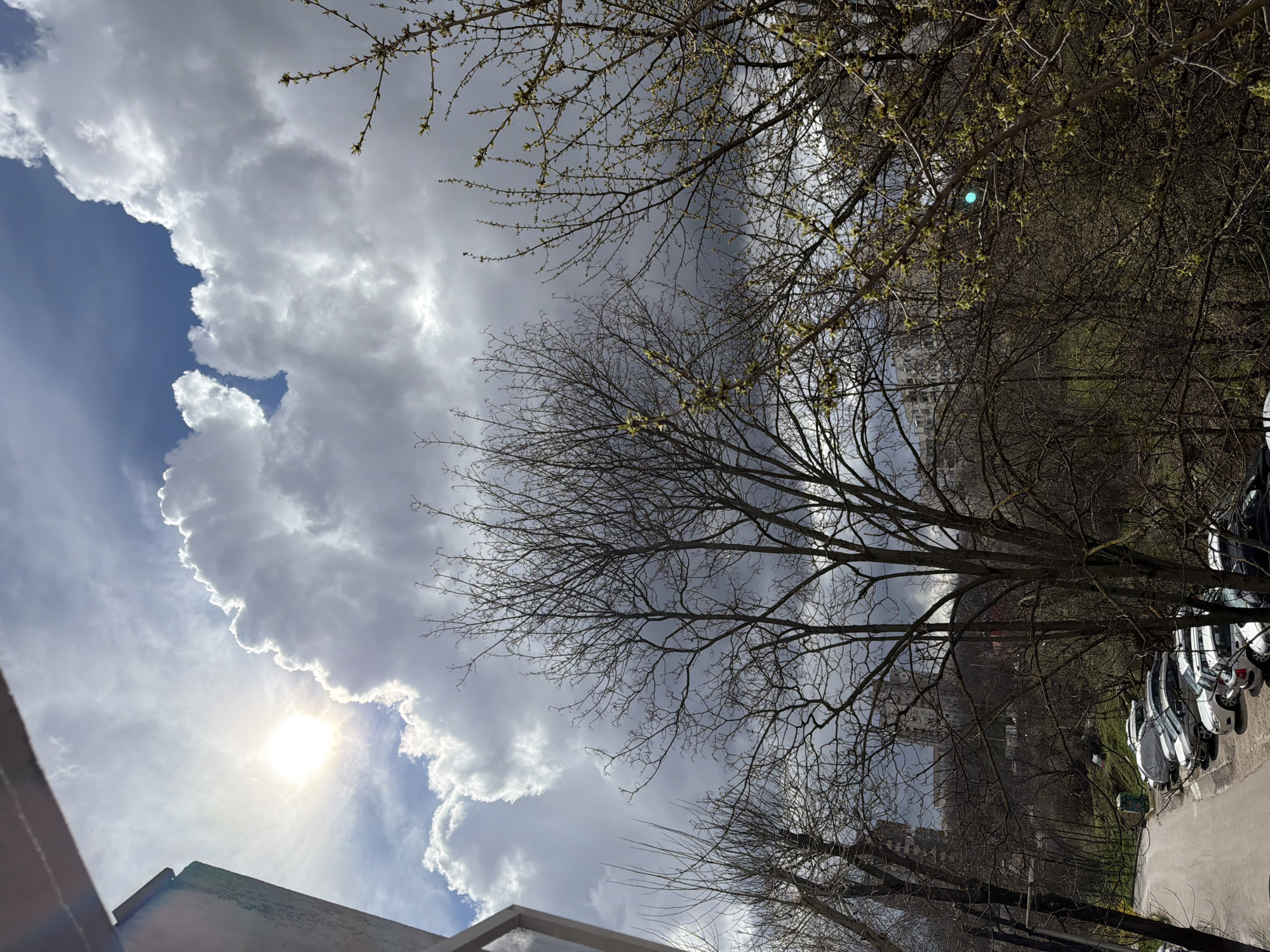 The image depicts an outdoor urban landscape in Pleven, Bulgaria, viewed from an elevated perspective, possibly from a balcony or upper floor of a building. The upper half of the frame is dominated by a dynamic sky featuring a bright sun on the upper left, partially obscured by large, brilliant white cumulus clouds. Patches of clear blue sky are visible, while the clouds towards the right and center appear denser and grayer.
The midground and foreground are characterized by a dense array of deciduous trees. Many trees are bare-branched, indicating an early spring or late winter season. Trees in the right portion of the frame exhibit visible small green buds, suggesting nascent foliage. To the far left, a structural element, possibly a building or balcony railing, frames the view.
In the lower left quadrant, a paved road or driveway curves into the scene. Along this road, an unpaved area serves as a parking space for approximately seven vehicles, including sedans and hatchbacks of various colors (white, silver, dark). One car is covered with a white protective tarp. Adjacent to the parked cars, a green portable toilet or utility box is visible. Beyond the immediate foreground, a gentle slope leads to a vegetated area with more bare trees. In the background, partially obscured by the trees, several multi-story residential buildings or apartment blocks are discernible in the distance. No individuals or specific actions are observed.
