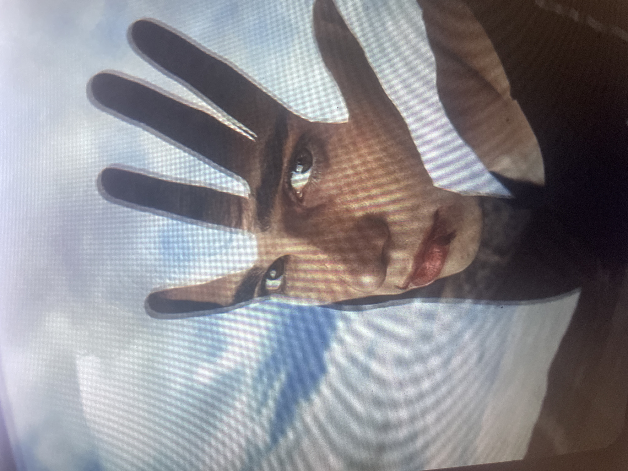 An extreme close-up image shows a person's face partially obscured by their hand. The person has light skin, dark eyebrows, and visible freckles. Their eyes are open and looking towards the viewer, with one eye more prominent than the other due to the hand's placement. The lips appear to be a reddish-pink color, and there is a hint of what could be lipstick or a similar product. The background consists of a hazy sky with clouds and a suggestion of landscape at the bottom. The image appears to be digitally rendered or heavily edited, with a pixelated quality. The person's hand, with spread fingers, casts a shadow and partially covers the face, creating a dramatic effect. The overall tone of the image is somewhat ethereal and moody.