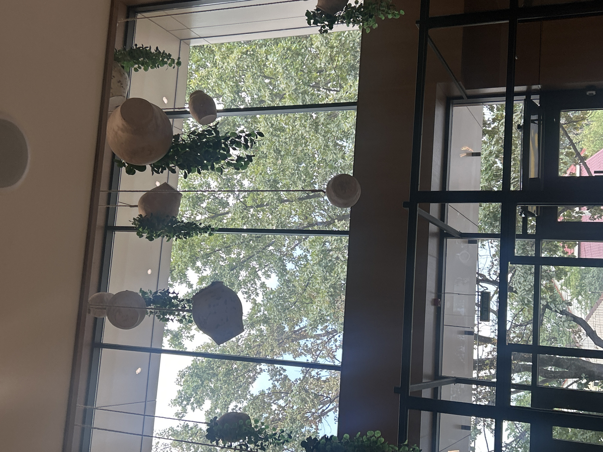 The image depicts an indoor space with a large window overlooking a dense canopy of green trees. Several decorative elements are suspended from the ceiling by strings. These include large, round, light-colored pots or baskets, some of which appear to be empty and others containing trailing green plants. The style of the hanging planters suggests a modern, possibly bohemian or naturalistic interior design. Through the window, the foliage of mature trees is prominent, indicating an outdoor environment with significant greenery. The lighting suggests it is daytime. The interior structure visible below the window appears to be a modern building with dark metal framing and possibly glass doors or partitions. The location is not identifiable as Almaty, Kazakhstan from the visual information alone. There are no people visible in the image.