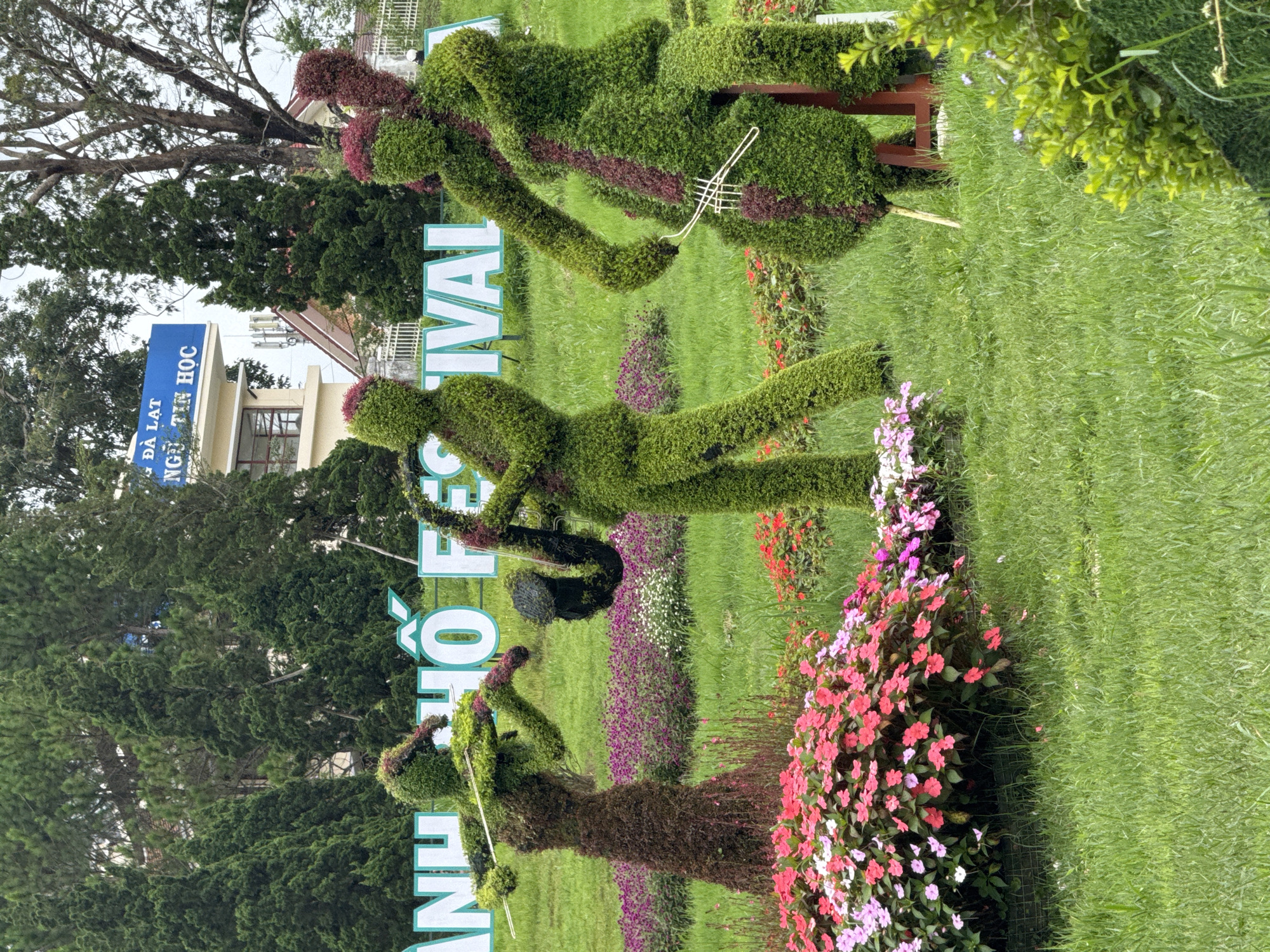 The image depicts a flower garden with topiary sculptures of musicians. The sculptures are arranged on a manicured lawn, with rows of colorful flowers. The sculptures appear to be made of greenery, and include figures playing instruments. A sign with the words "DA LAT" and Vietnamese characters is in the background, indicating the city in Vietnam. The overall scene suggests a public park or garden dedicated to floral displays and artistic installations.