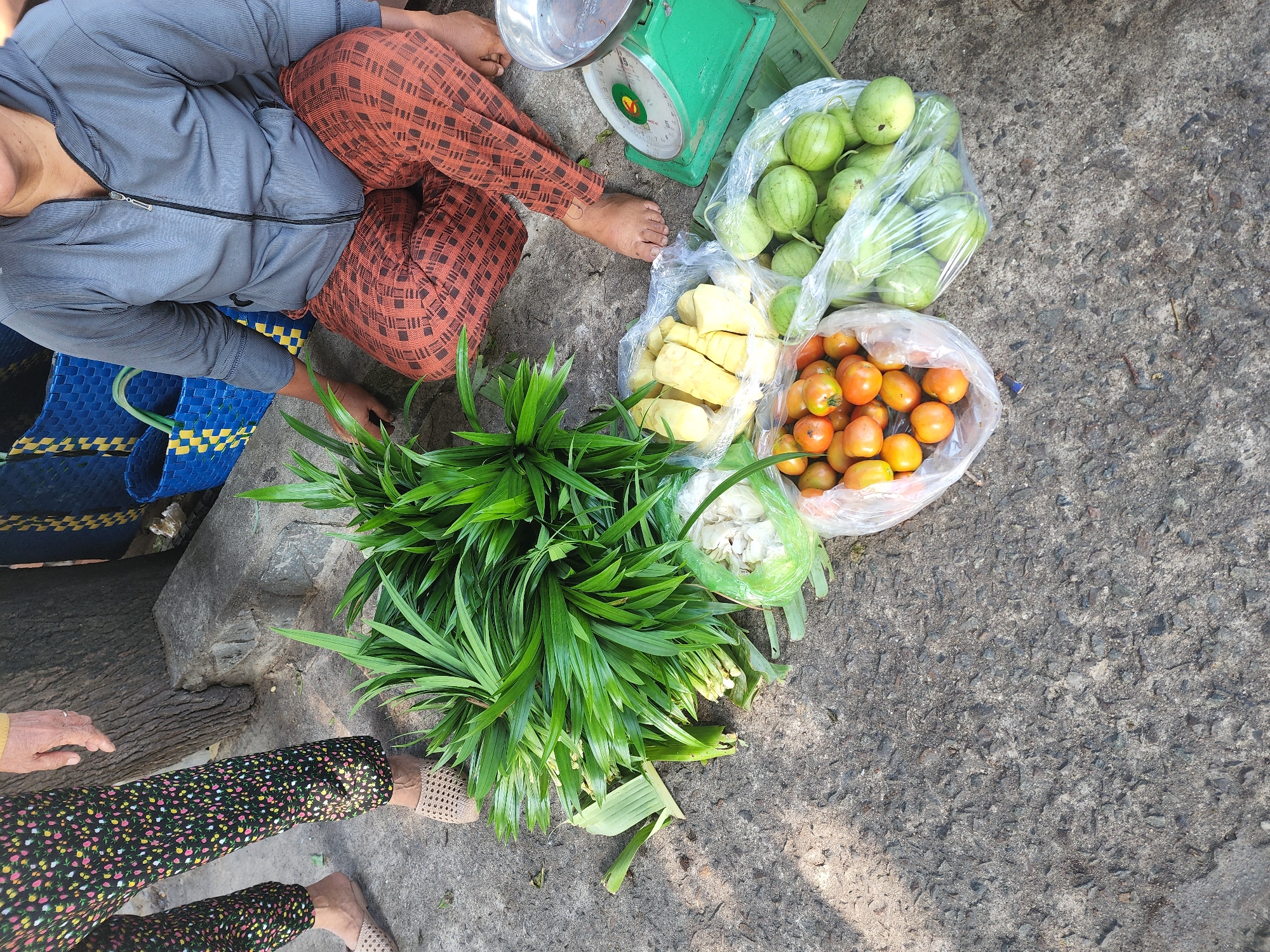 In Phu Thuy Ward, Vietnam, a person sits on the ground next to a collection of produce. The individual, wearing a gray zip-up jacket and patterned orange pants, is positioned on the right side of the frame. To the left, another person stands, wearing patterned black pants and beige slip-on shoes. The ground is a rough, gray concrete surface.
Dominating the center of the image is a large bunch of vibrant green pandan leaves, some of which are attached to banana leaves. Arranged around the pandan leaves are various food items. To the left of the pandan leaves is a clear plastic bag containing what appears to be peeled garlic. Below this, a plastic bag is filled with small, round red tomatoes. To the right of the tomatoes, a clear plastic bag is filled with small, round green watermelons. In between the garlic and the tomatoes, another clear plastic bag contains cut pieces of light yellow fruit, possibly pineapple or mango.
In the background, a large tree trunk is visible to the left, with a concrete curb and several woven blue and yellow baskets. A green mechanical scale with a metal bowl on top is positioned to the right of the produce. The overall scene suggests a market or roadside stall setting.