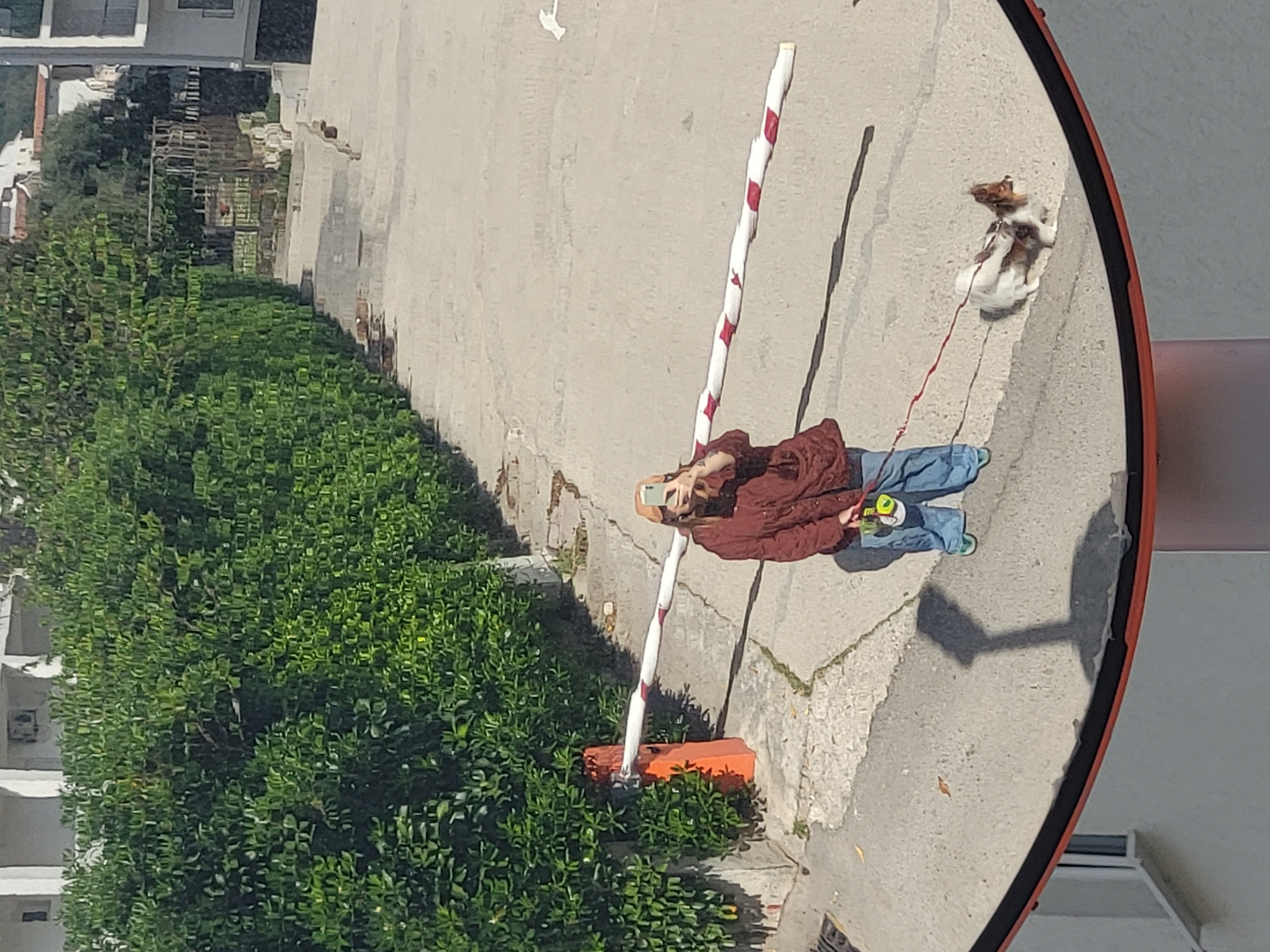 The image is a reflection in a convex mirror, likely a traffic or safety mirror. In the reflection, a person with reddish-brown hair is visible, wearing a maroon jacket and blue jeans. The person is holding a smartphone or similar device. A small dog on a leash is seen beside them. A red and white striped barrier is also reflected, positioned near a green bush. The background of the reflection includes a building and a paved surface. The buildings in the background and foliage suggest the location is an urban area, possibly Budva, Montenegro.