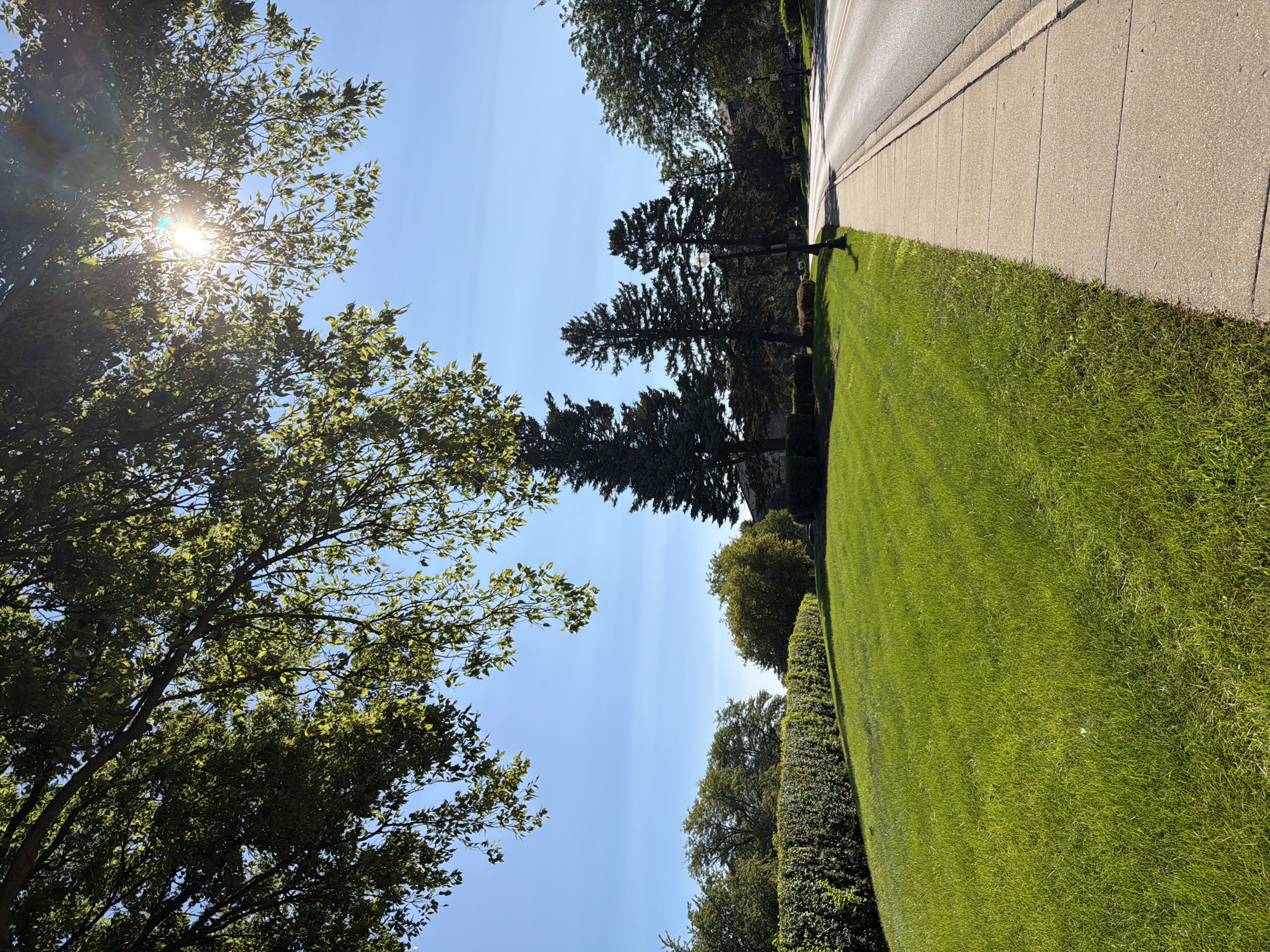 The image depicts a sunny day with clear blue skies in Vernon Hills, Illinois. In the foreground, a well-maintained green lawn slopes gently upwards towards a manicured hedge. To the right, a concrete sidewalk runs parallel to a paved road, which curves slightly to the right. Tall evergreen trees and deciduous trees form a backdrop, with some trees casting shadows on the lawn. The sun is bright and high in the sky, partially obscured by the branches of a leafy tree in the upper left corner, creating lens flare. A lamppost is visible on the sidewalk. The scene appears to be a residential or park area.