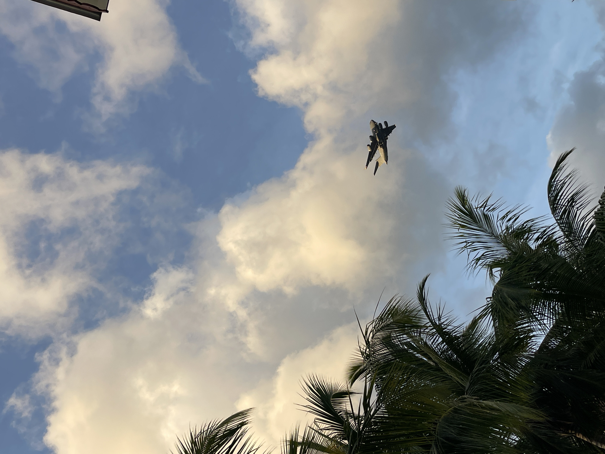 The image captures a view of the sky above Providence, Seychelles, with a large cargo plane in flight. Lush green palm fronds dominate the lower left portion of the frame, their feathery leaves obscuring parts of the sky. The sky itself is a mix of clear blue and large, billowy white and golden clouds, suggesting either early morning or late afternoon light. The cargo plane, a four-engine jet with a distinctive T-tail, is visible in the mid-right section of the sky, appearing to be banking slightly. A small portion of a building's roofline with a dark trim is visible at the top right edge of the image. The scene is natural and serene, with no people or specific urban features of Providence clearly depicted, beyond the implied location.