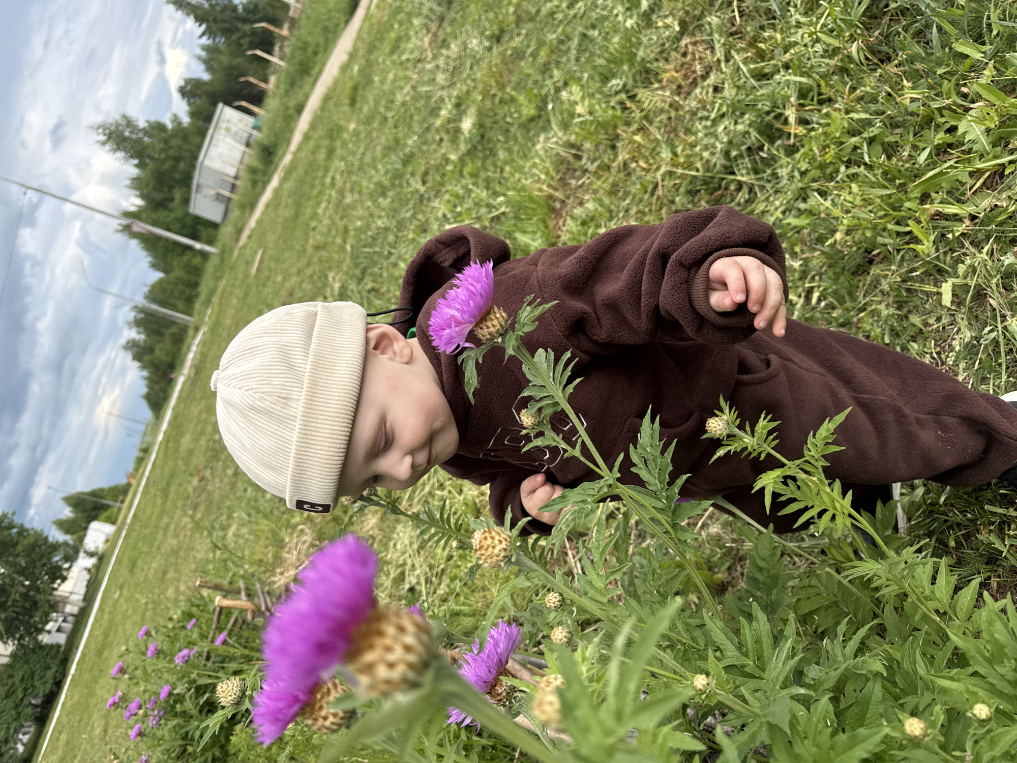 A small child wearing a brown fleece jumpsuit and a beige corduroy hat is examining purple flowers in a grassy field. The child is positioned close to the flowers, with their face near one of the blossoms and a hand extended towards another. The surrounding environment includes green grass, other plants, and in the background, trees, a building, and a sky with clouds. The image was taken in Марковский, Russia.