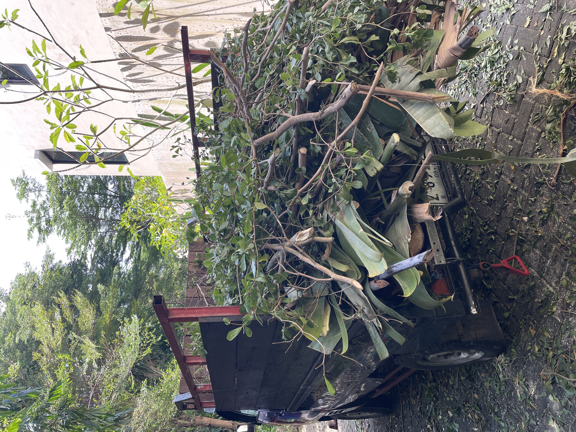 A utility trailer is packed with tree trimmings. The trailer is on a paved surface with trimmings scattered around it. A red shovel is visible near the trailer's hitch. A building is partially visible in the background. The location is Kuta Selatan, Indonesia.