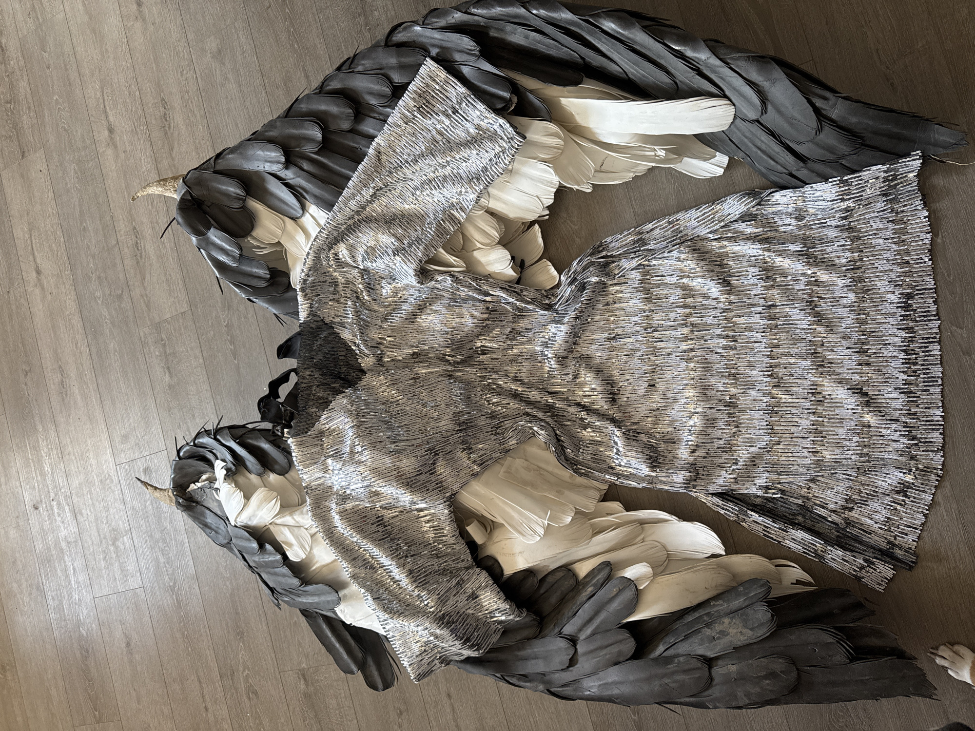 The image shows a garment with a silver, sequined-like texture lying on top of two feathered wings with horns, placed on a wooden floor. The wings are composed of black and white feathers, arranged in layers. A small portion of a dog's paw is visible in the bottom right corner of the image. There is no information available in the image to confirm that this image was taken in Chaikovsky, Russia.